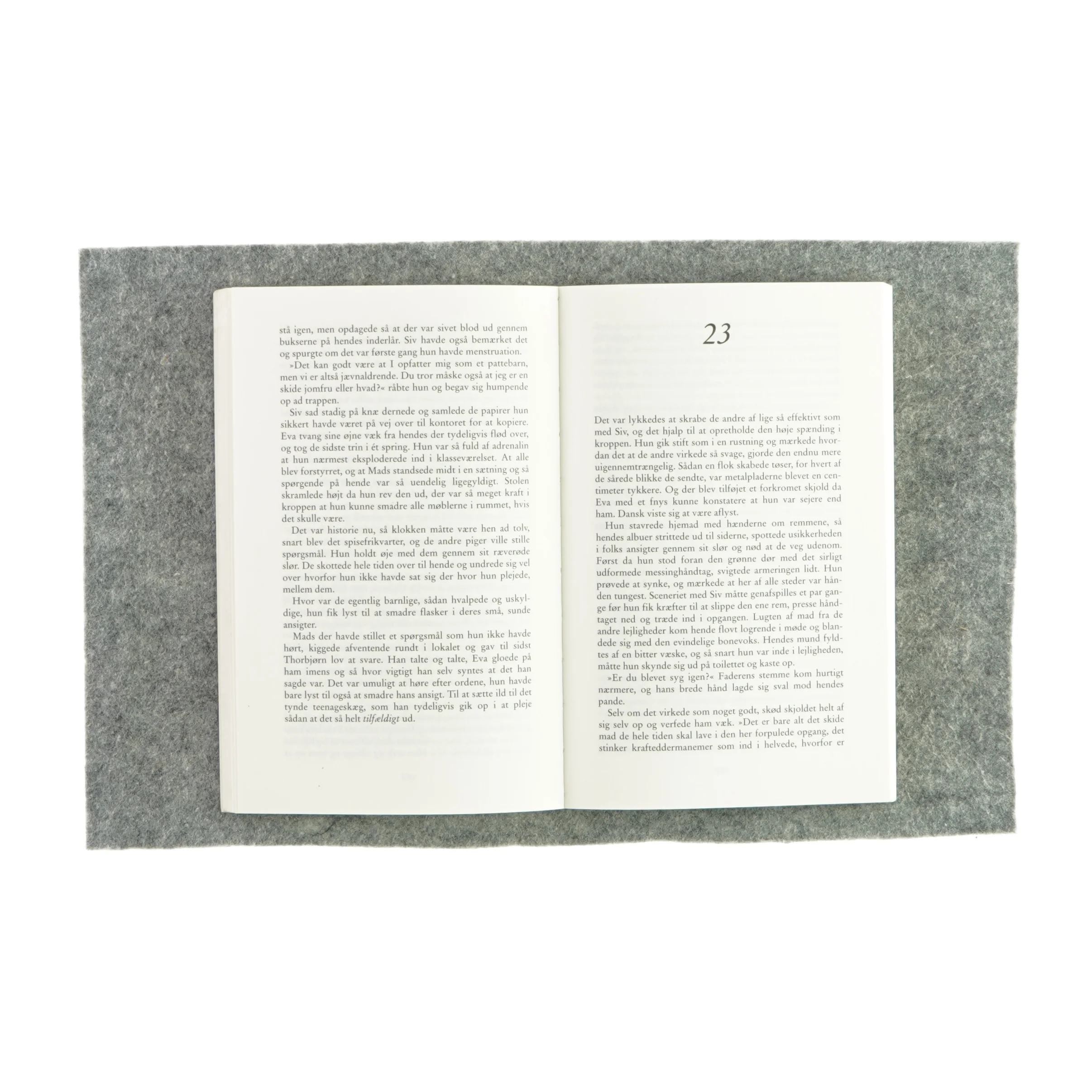 Ave Eva af Sulaima Hind (bog)