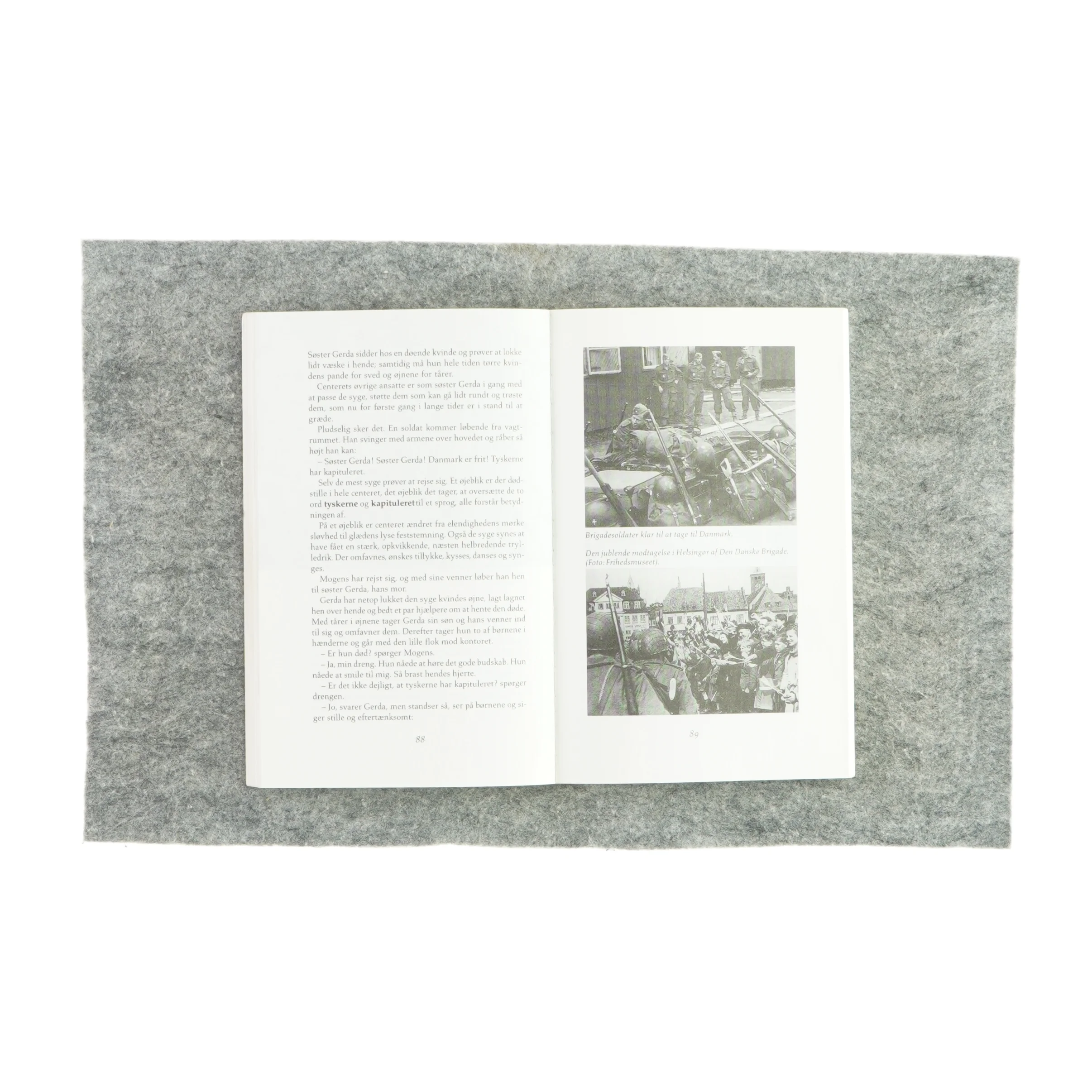 Farmor af Mogens Frohn Nielsen (bog)