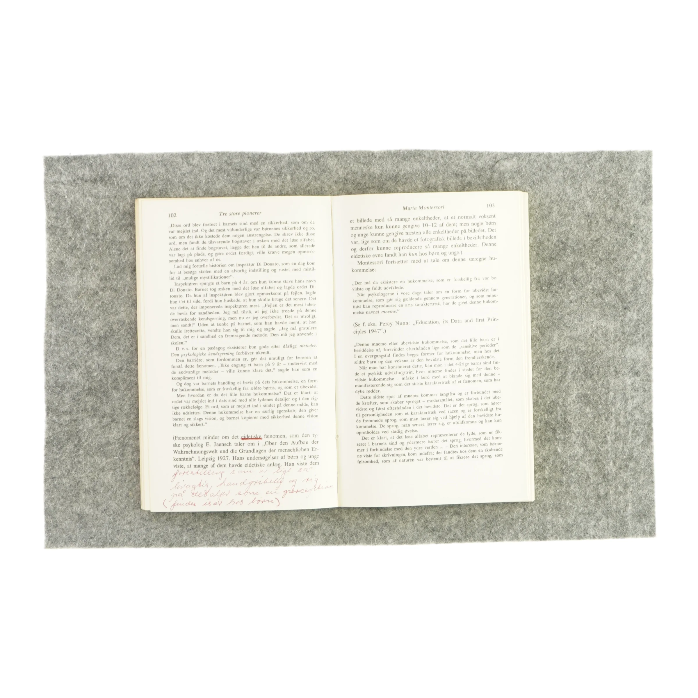 Træk er den moderne opdragelses historie (bog) 