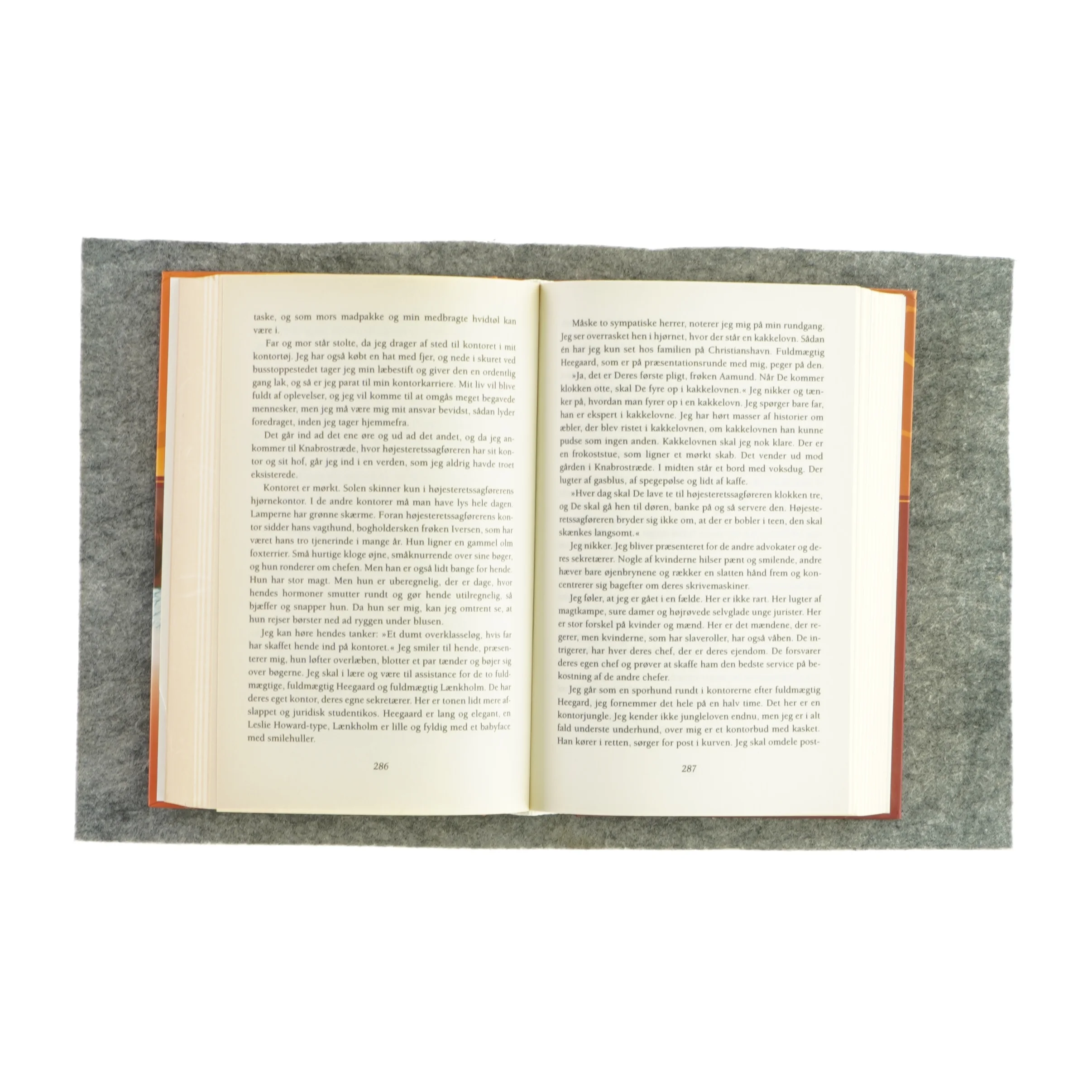 Den grønne port og Den hvide verden af Jane Aamund (bog 2i1)