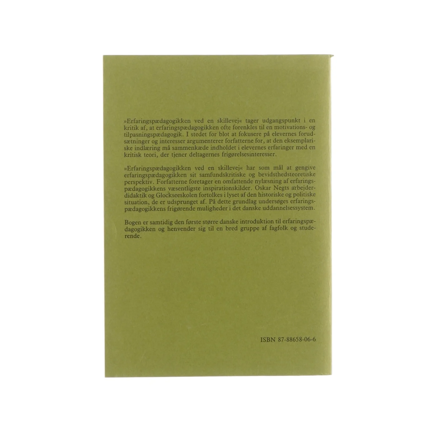 Erfaringspædagogikken, ved en skillevej (bog)