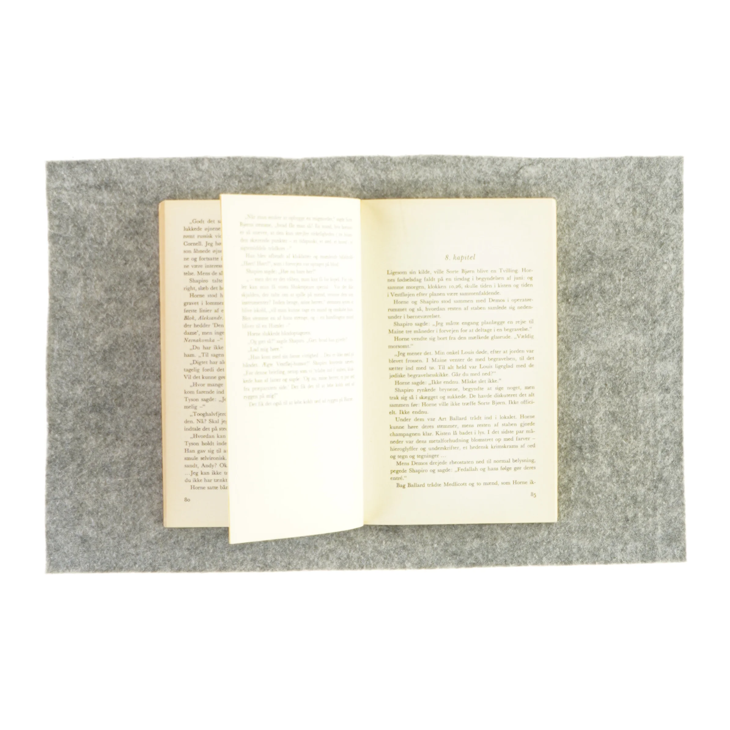 Fælles hukommelse af Ralph Blum (bog)