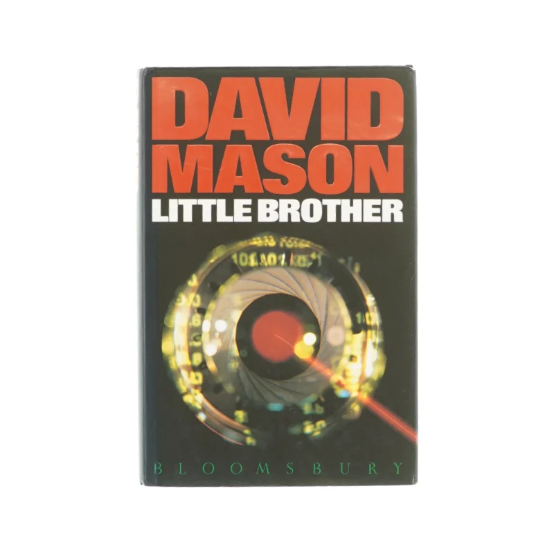 Little brother af David Mason (bog)