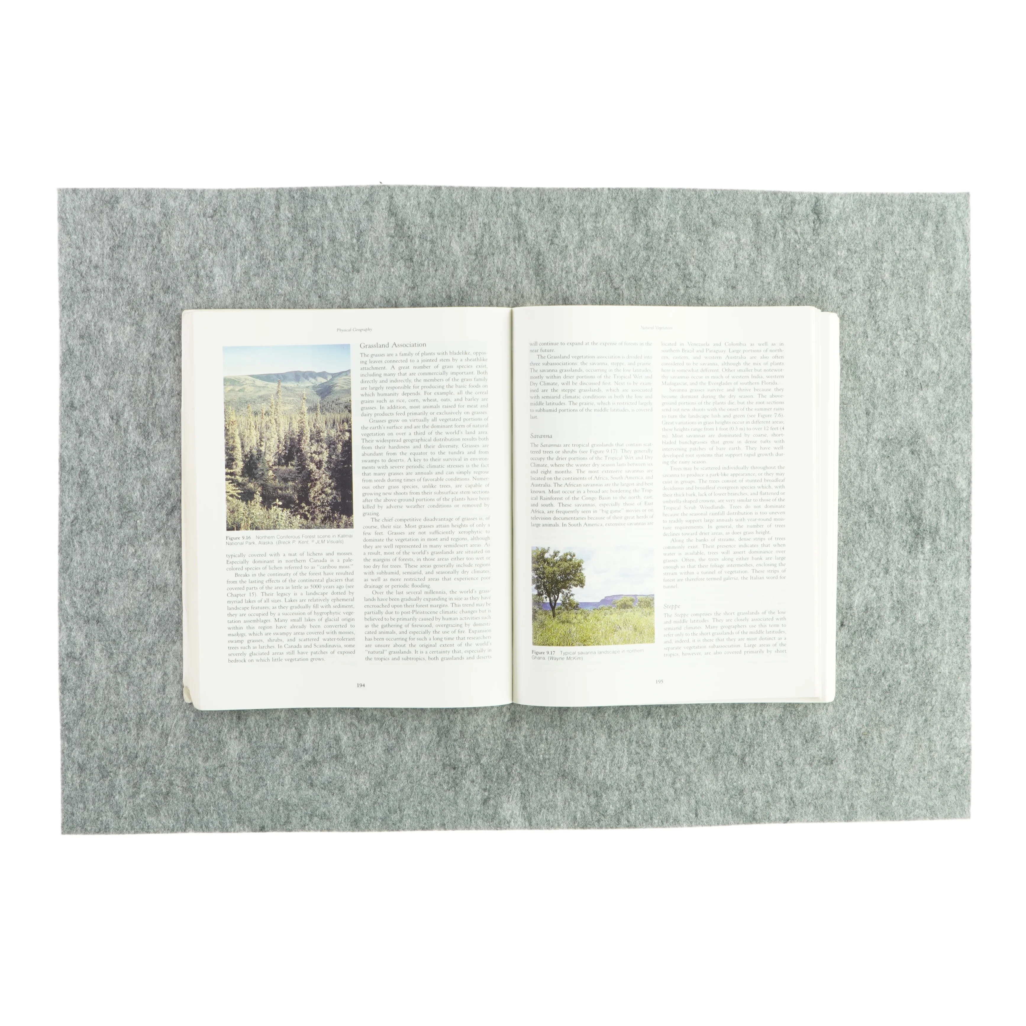 Essentials of physical geography af Ralph C. Scott (bog)