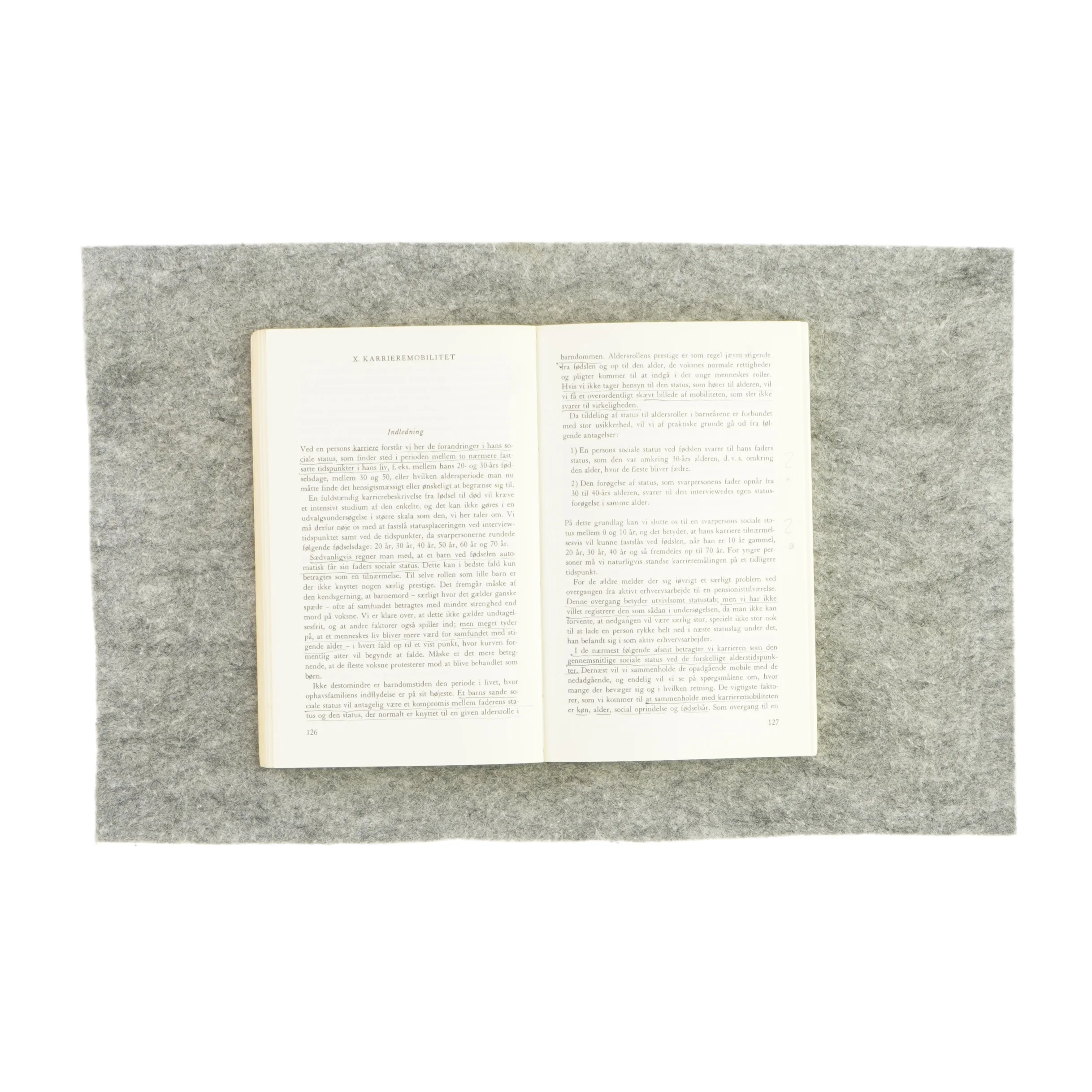 Social rang og mobilitet (bog)