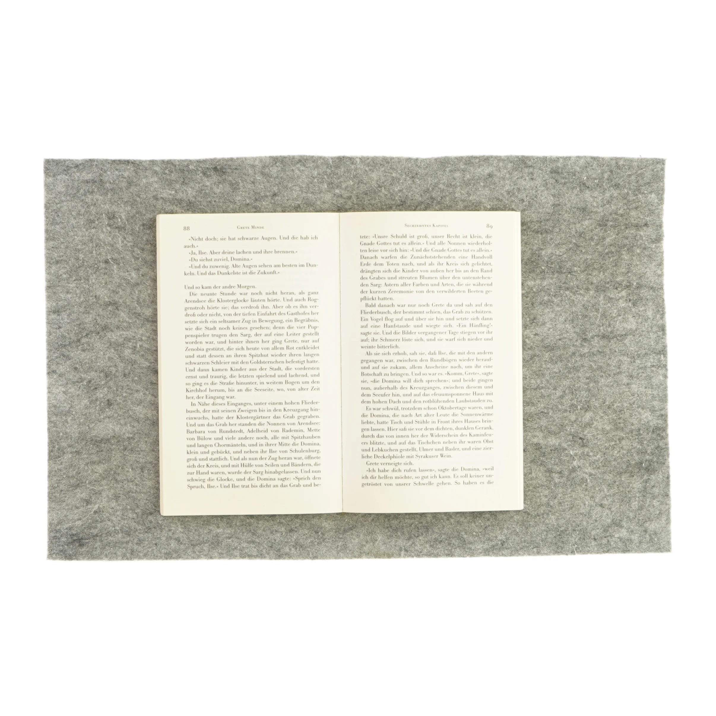 Theodor Fontane af Grete Minde (bog) 