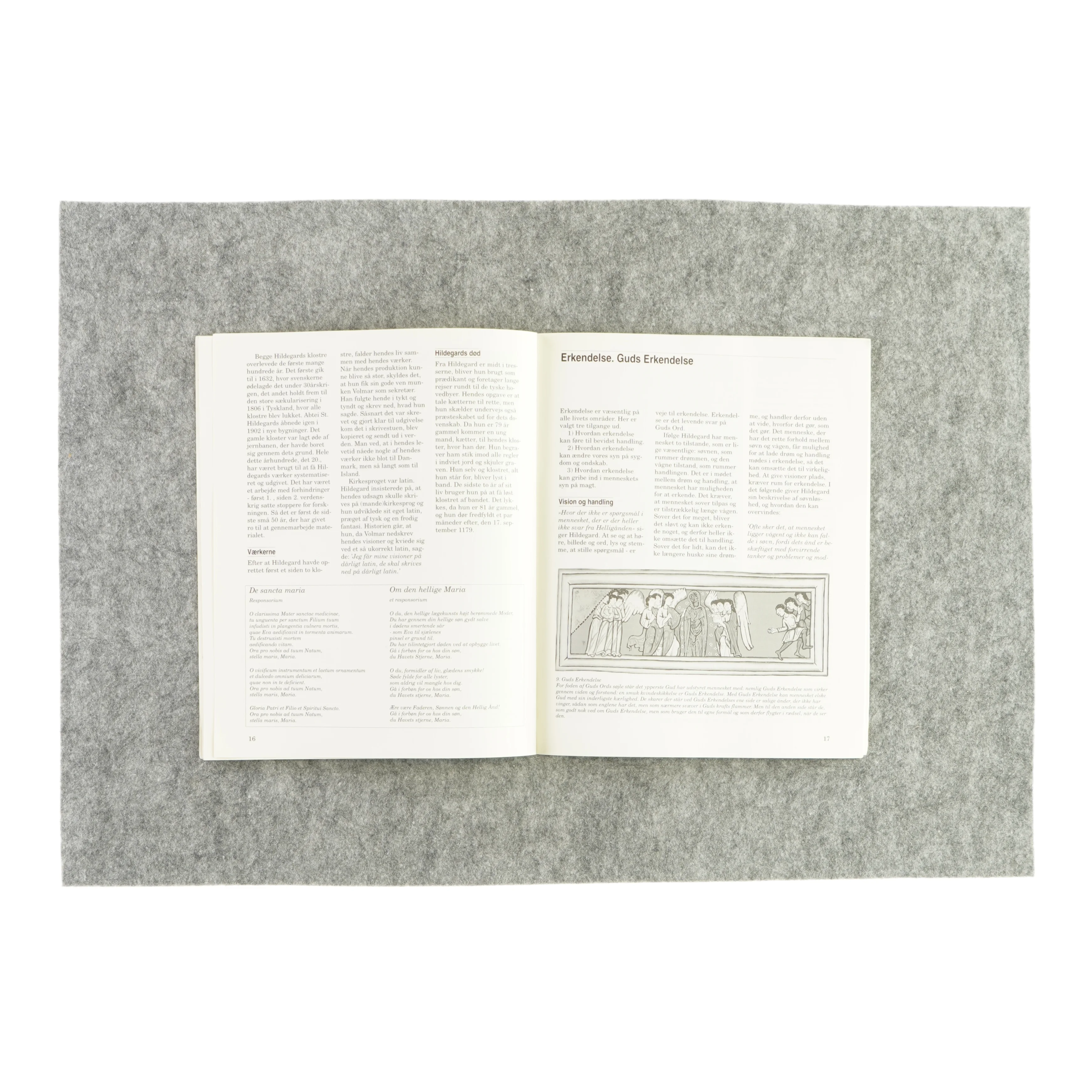 At slå rødder i solen af Rose Marie Tillisch (bog)