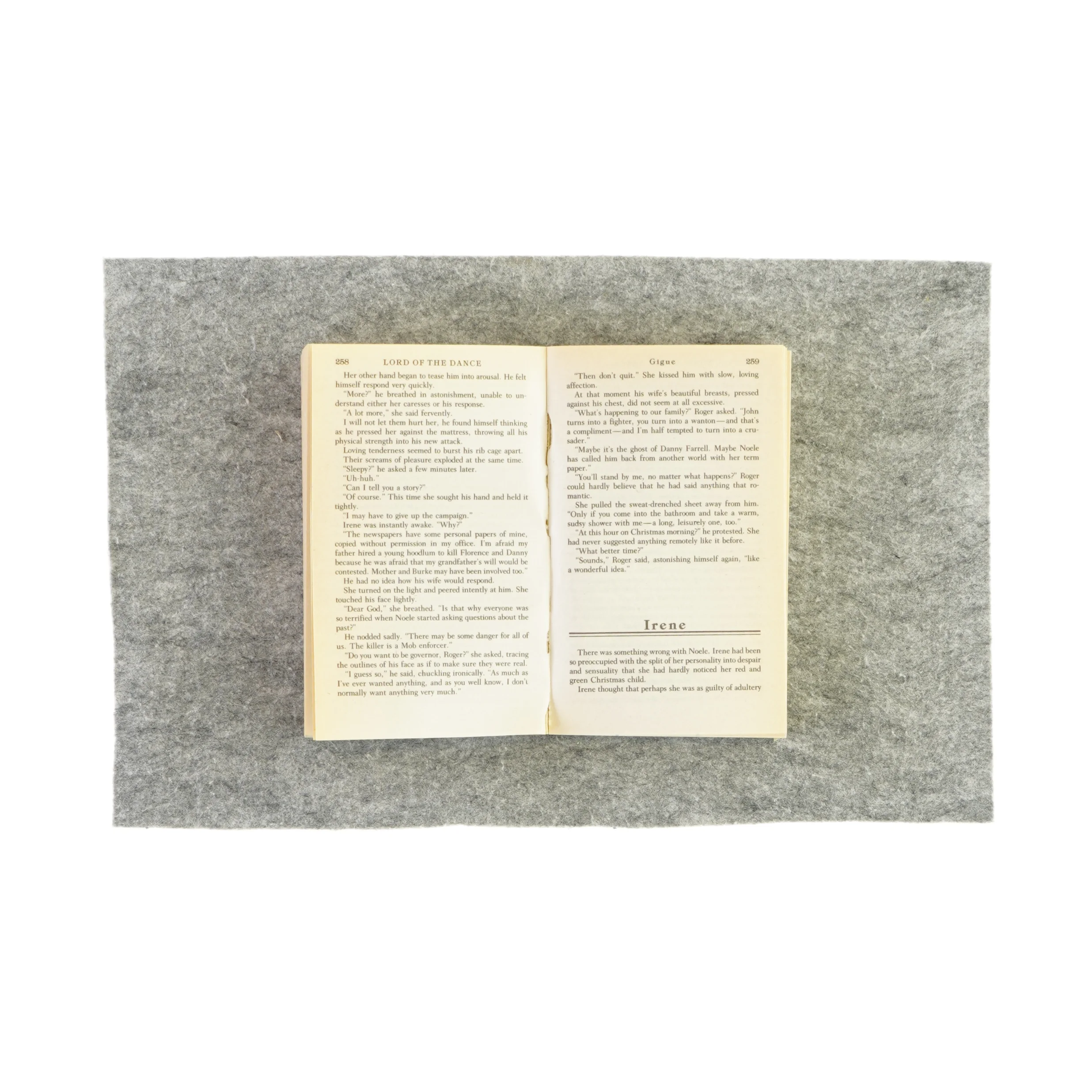 Lord of the dance af Andrew M. Greeley (bog) 