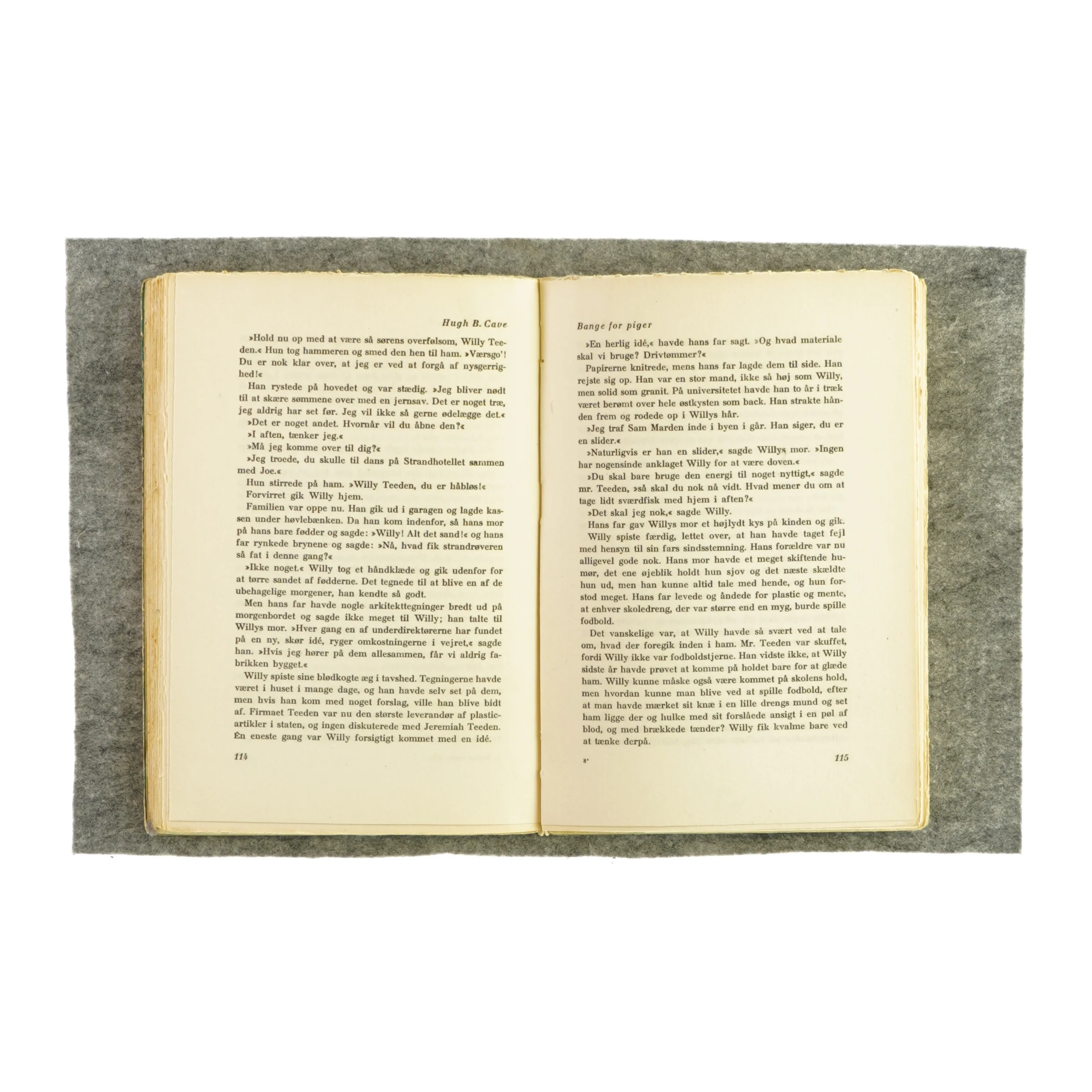 Bettina svigter ikke (bog)