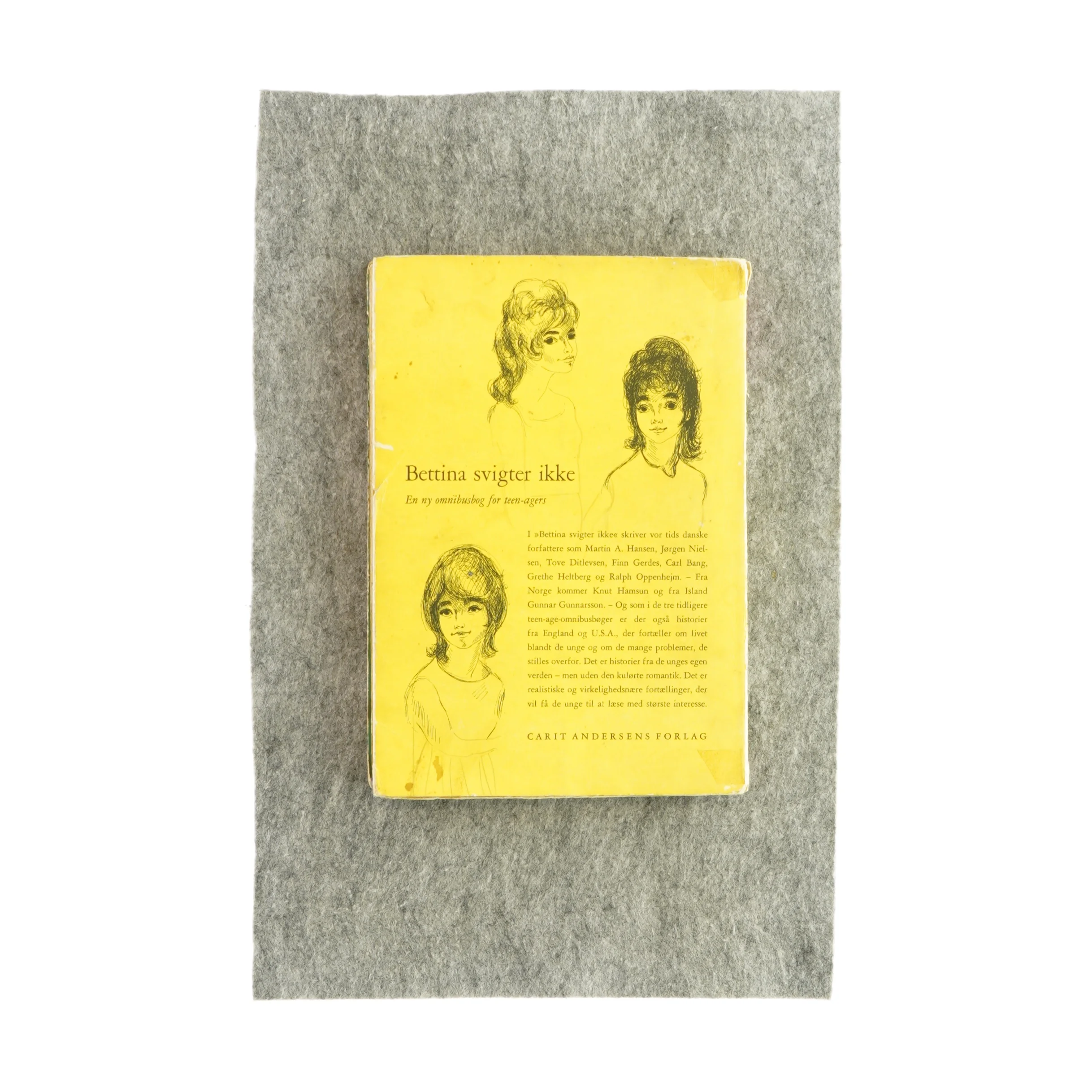 Bettina svigter ikke (bog)