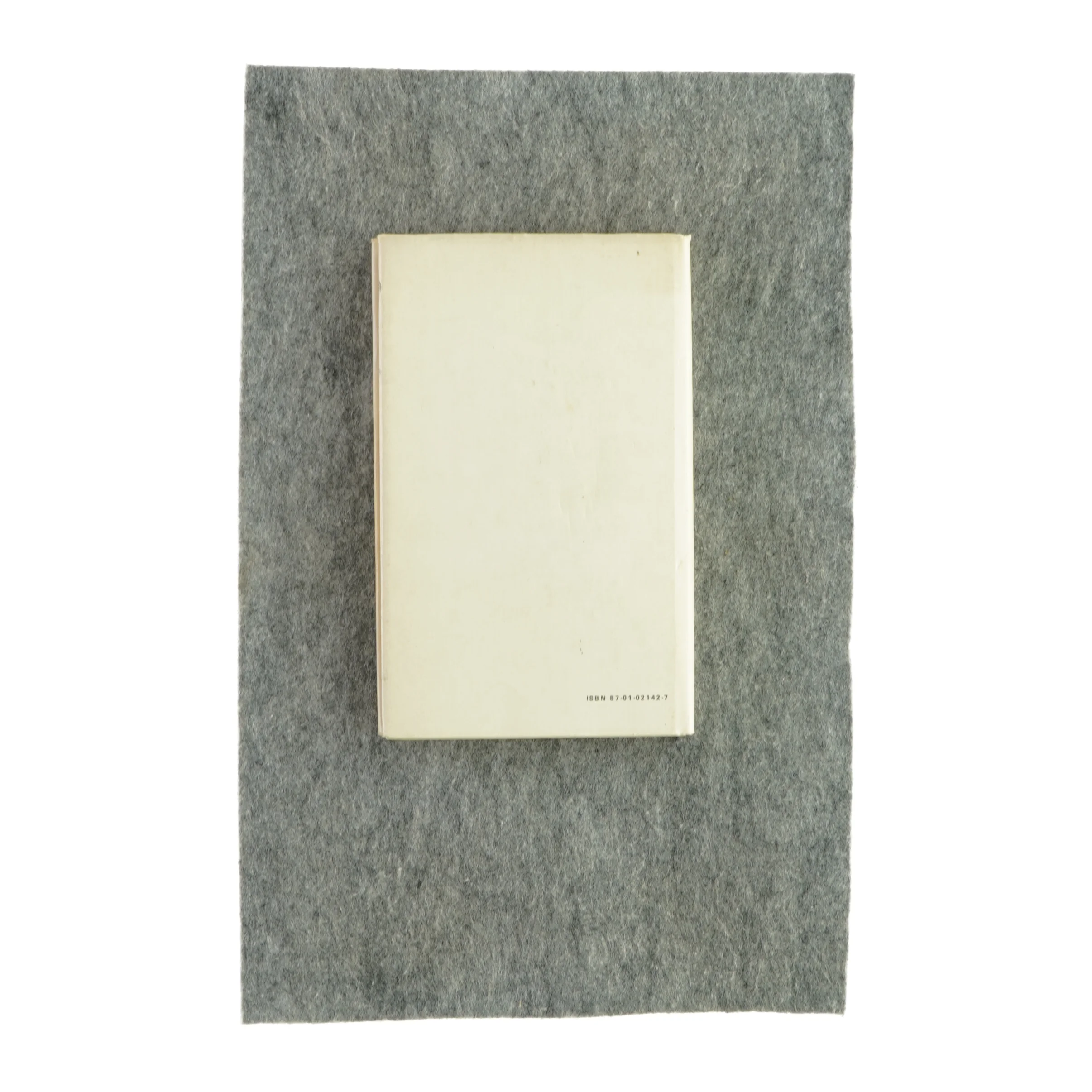 En fugl foruden vinger af Charlotte Strandgaard (bog)