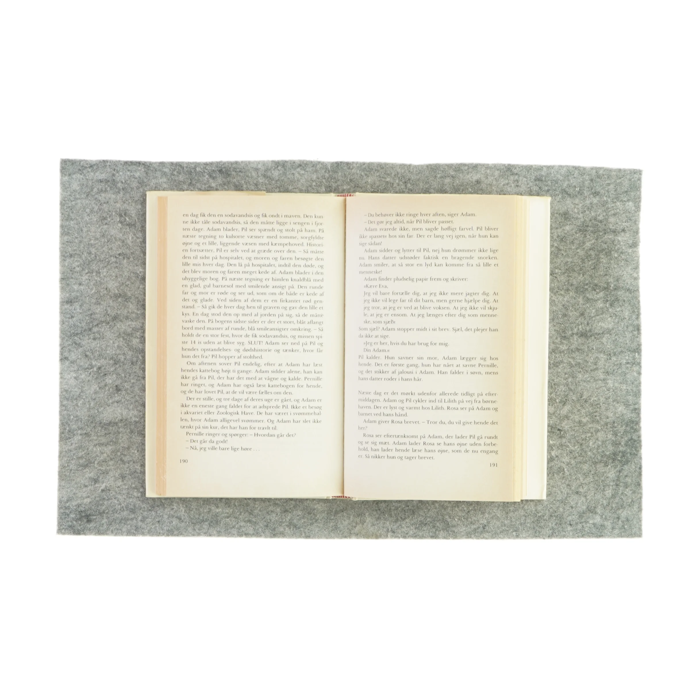 En fugl foruden vinger af Charlotte Strandgaard (bog)