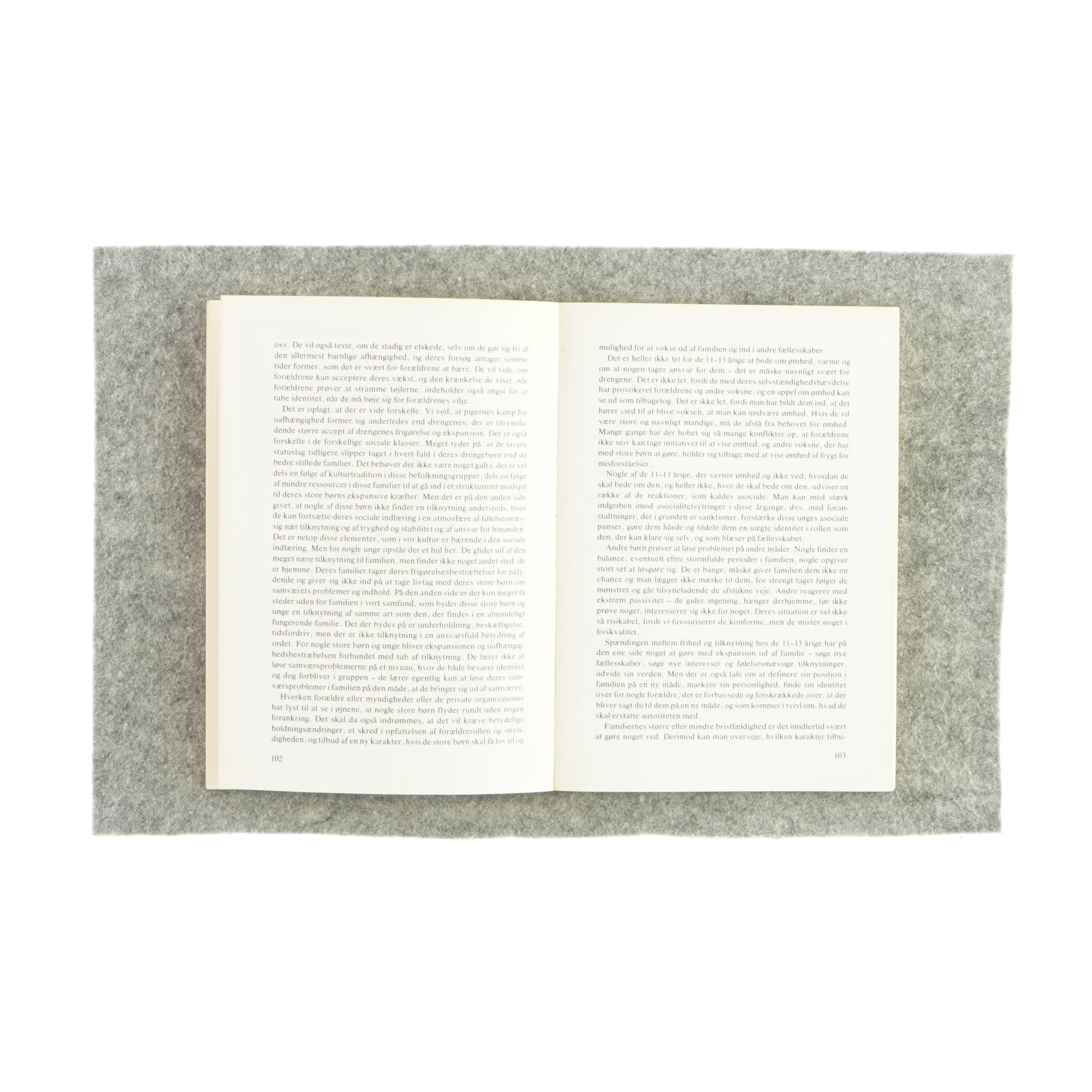 Fritidspædagogik (bog)