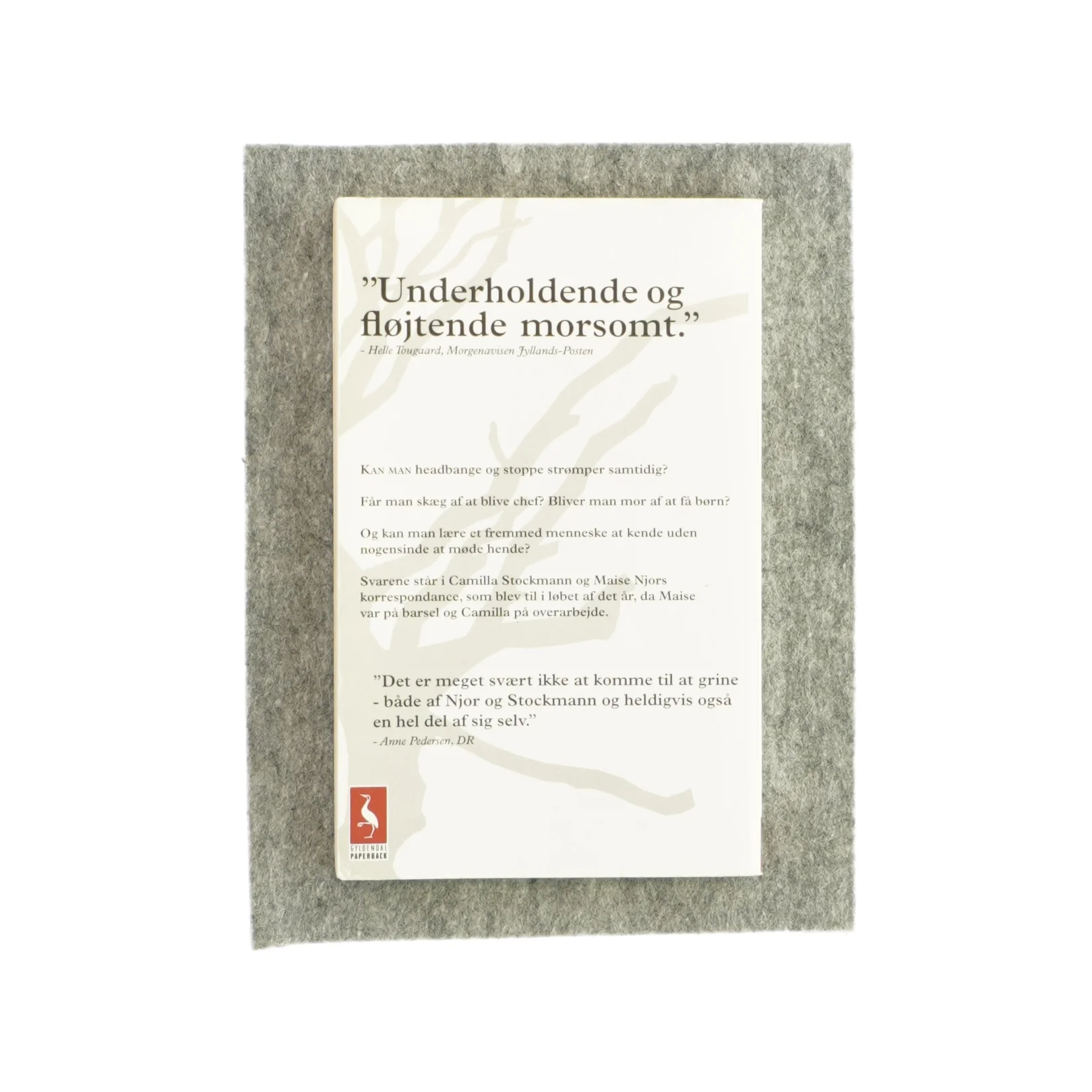 Michael Laudrups tænder en korrespondance (bog)