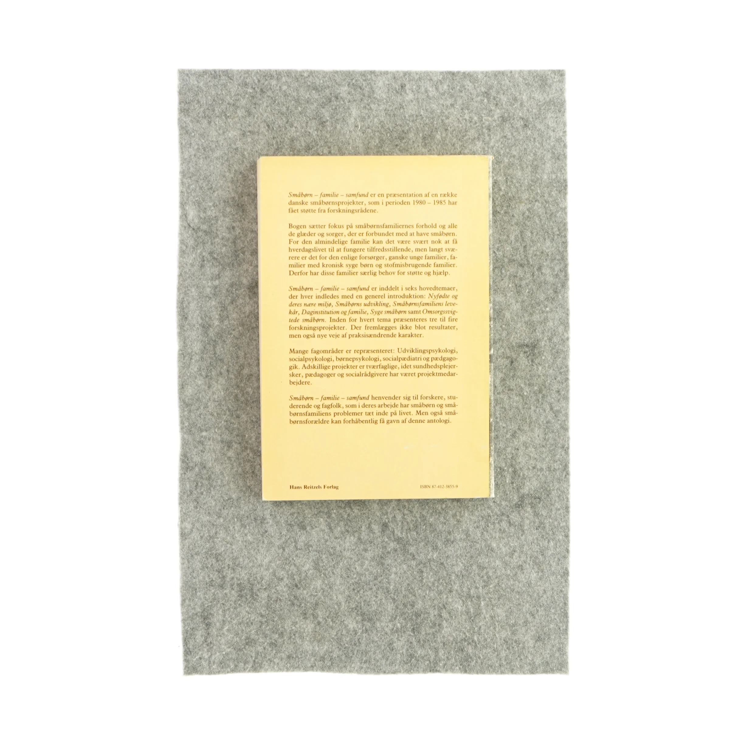 Småbørn, familie, samfund (bog)