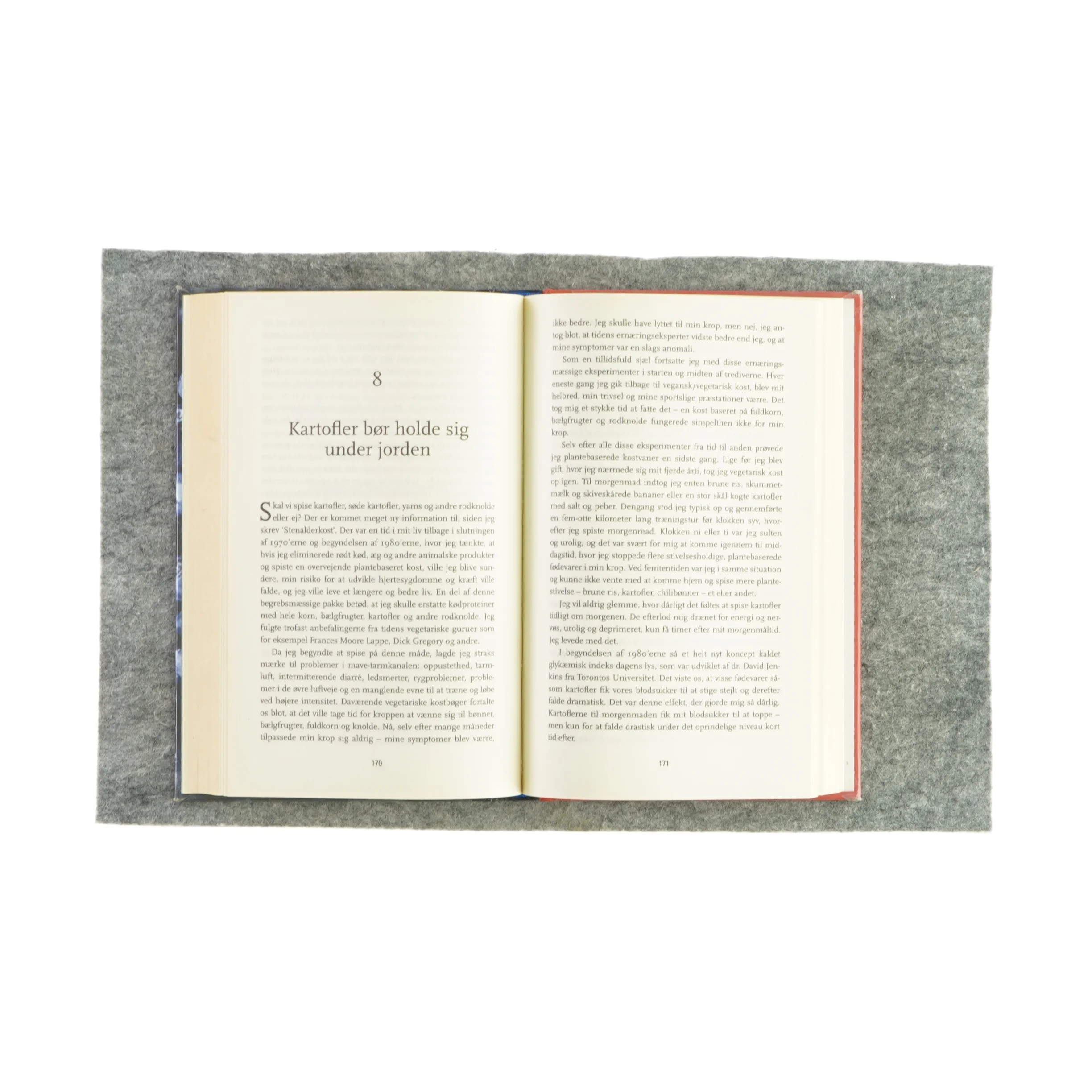 Stenalderkost kuren (bog)