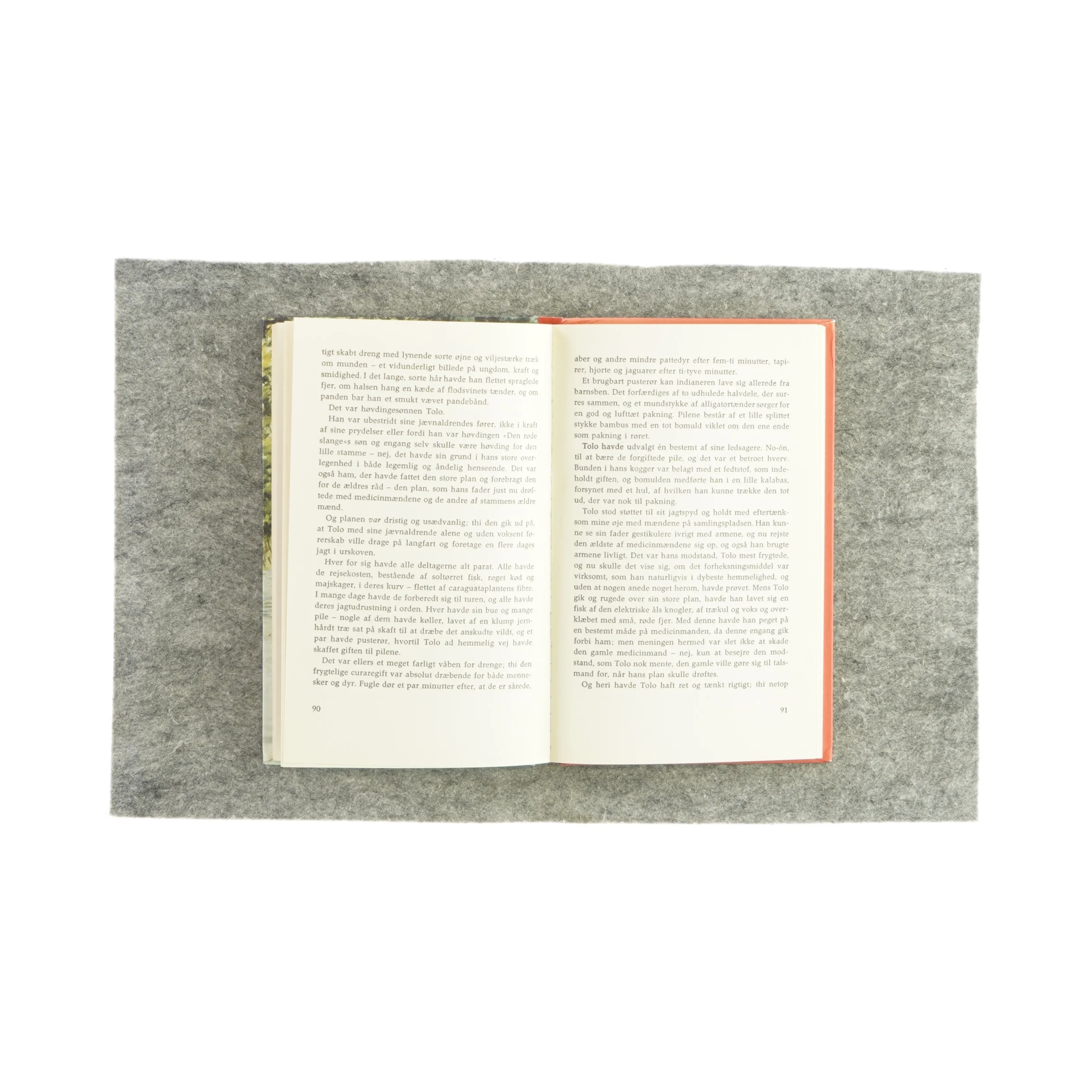 Paw i urskoven af Torry Gredsted (Bog)