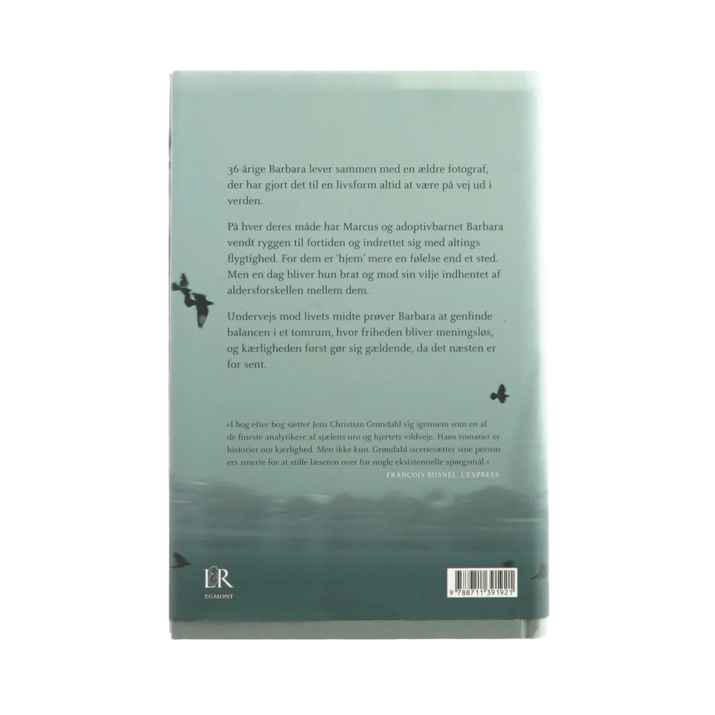 Før vi siger farvel af Jens Christian Gøndahl (Bog)