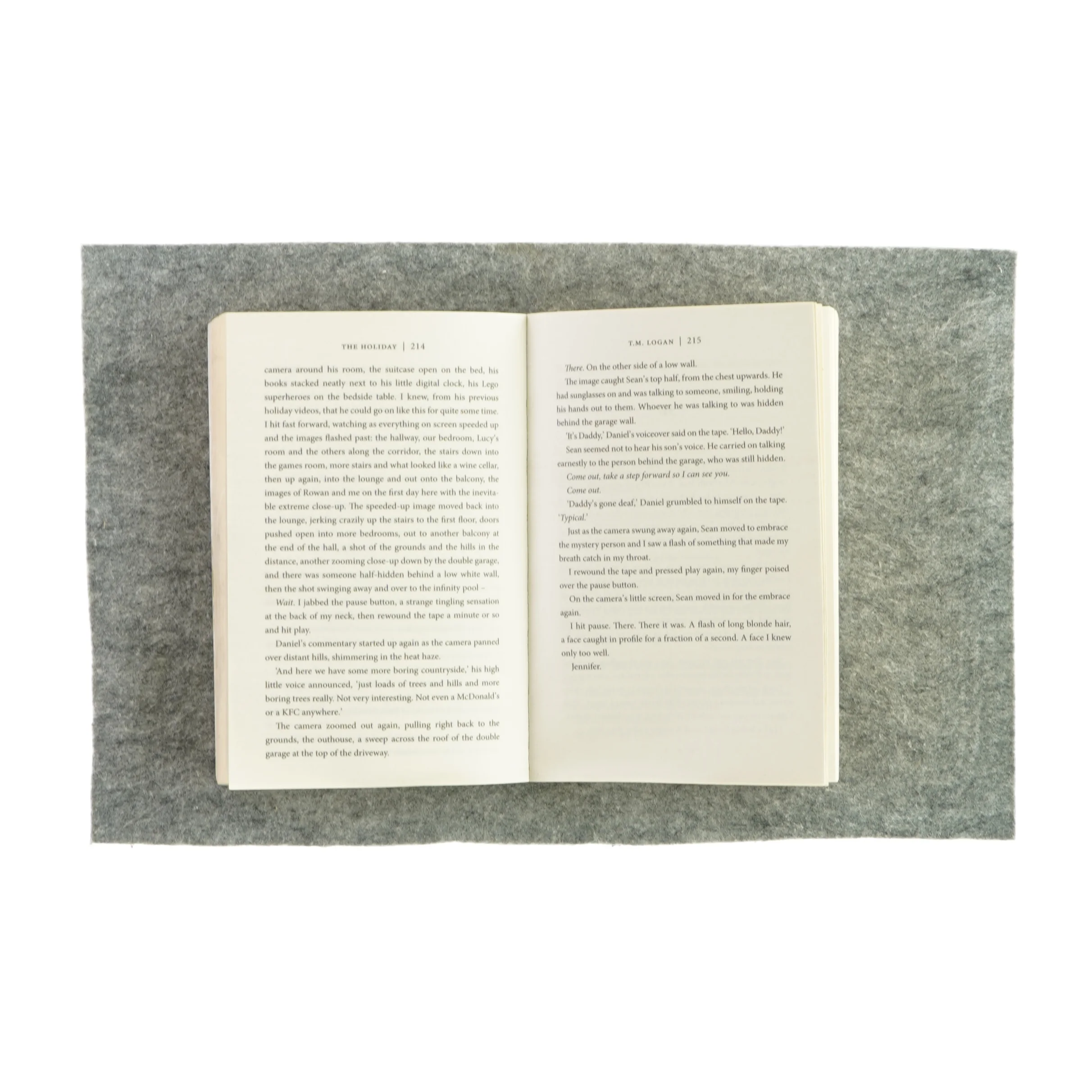 The holliday af T.M. Logan (bog)