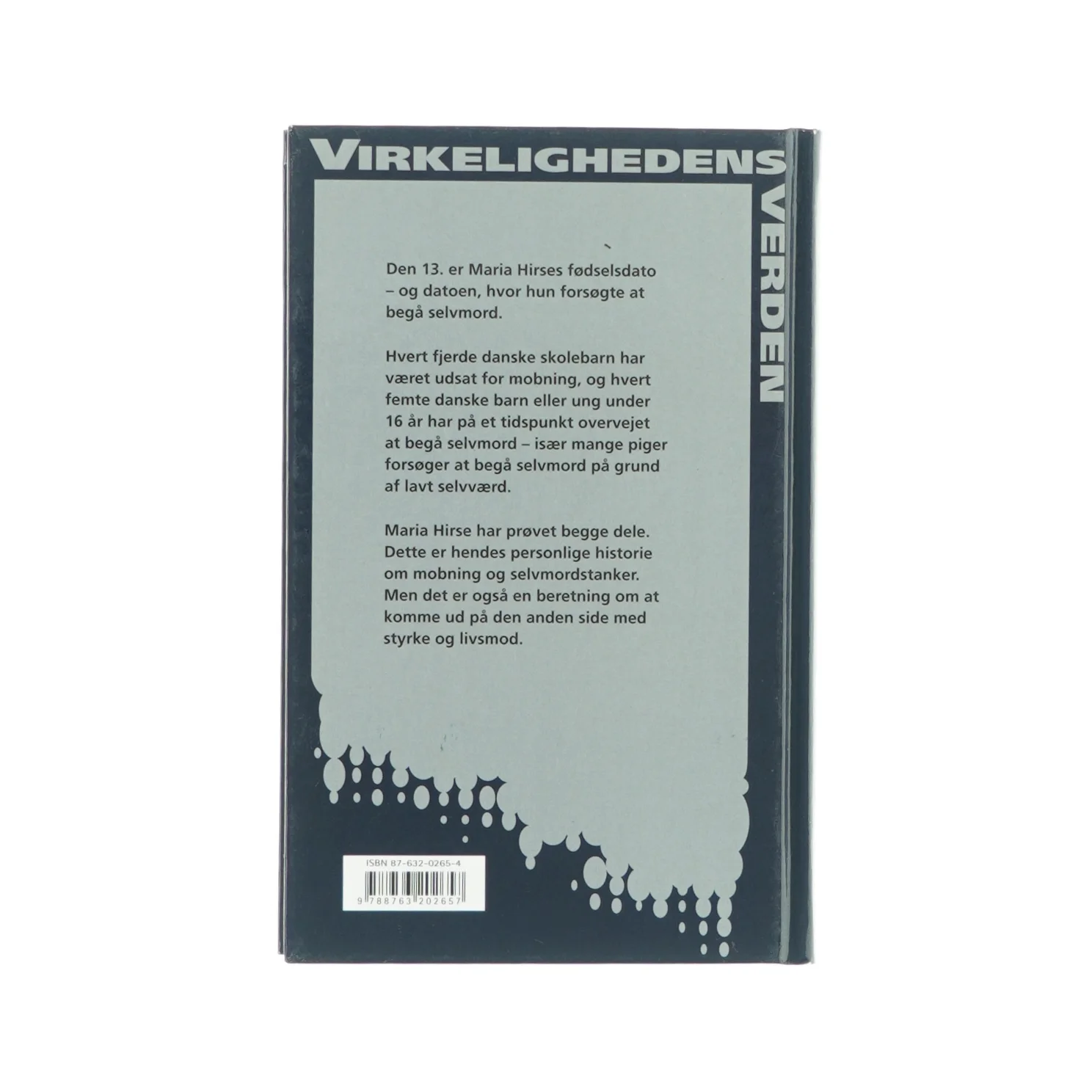 Den 13. af Maria Hirse (Bog)