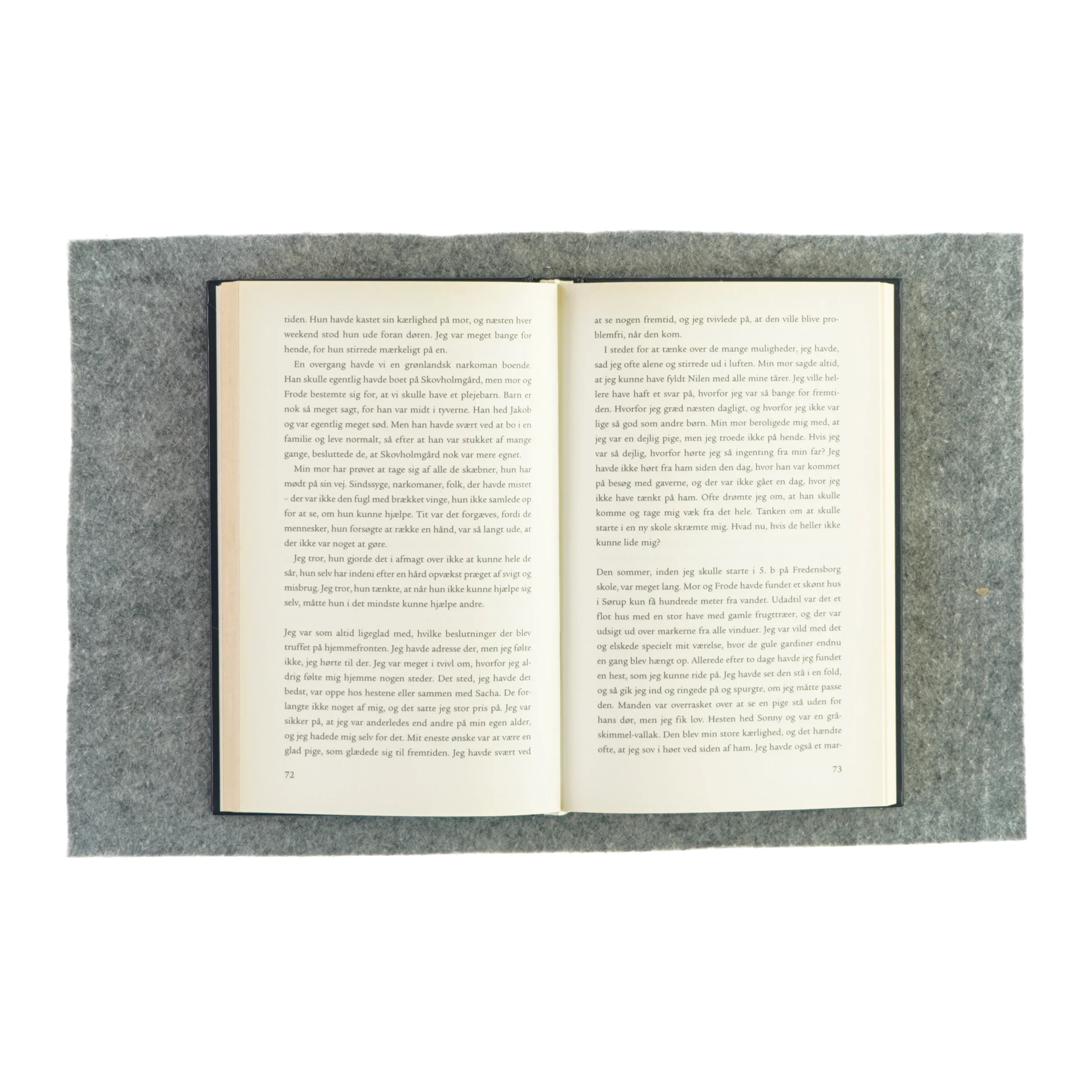 Den 13. af Maria Hirse (Bog)