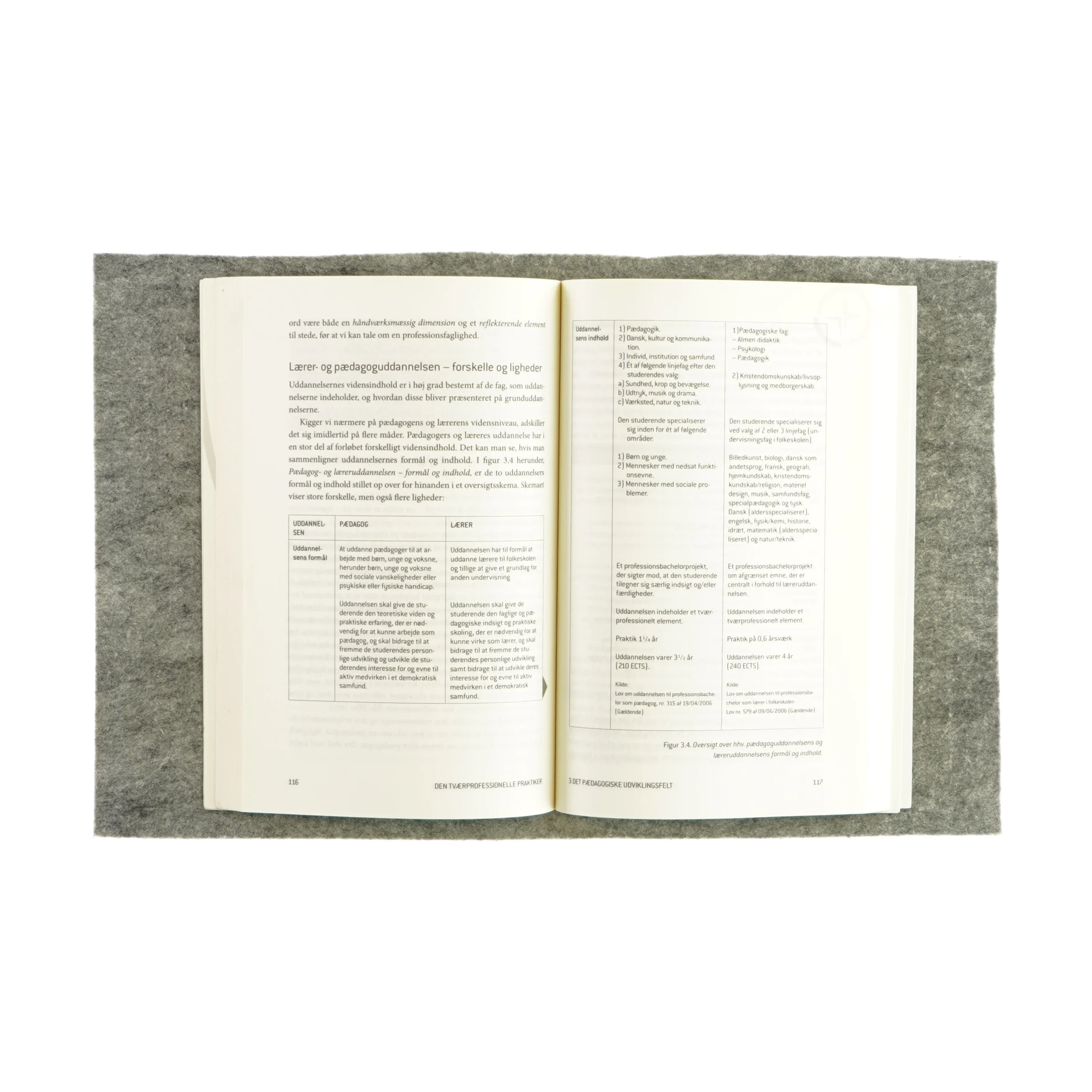 Den tværprofessionelle praktiker af Andy Højholdt (bog)