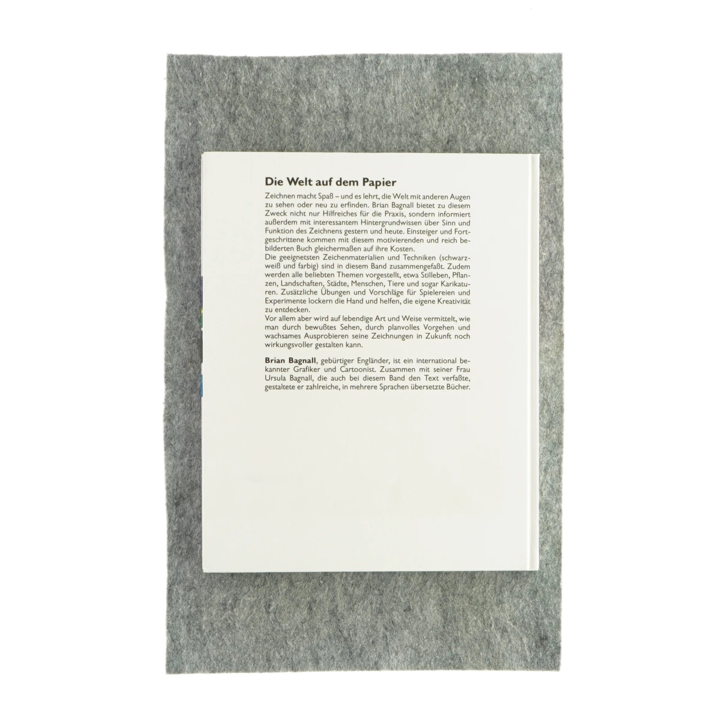 Kreativ zeichnen (Bog)