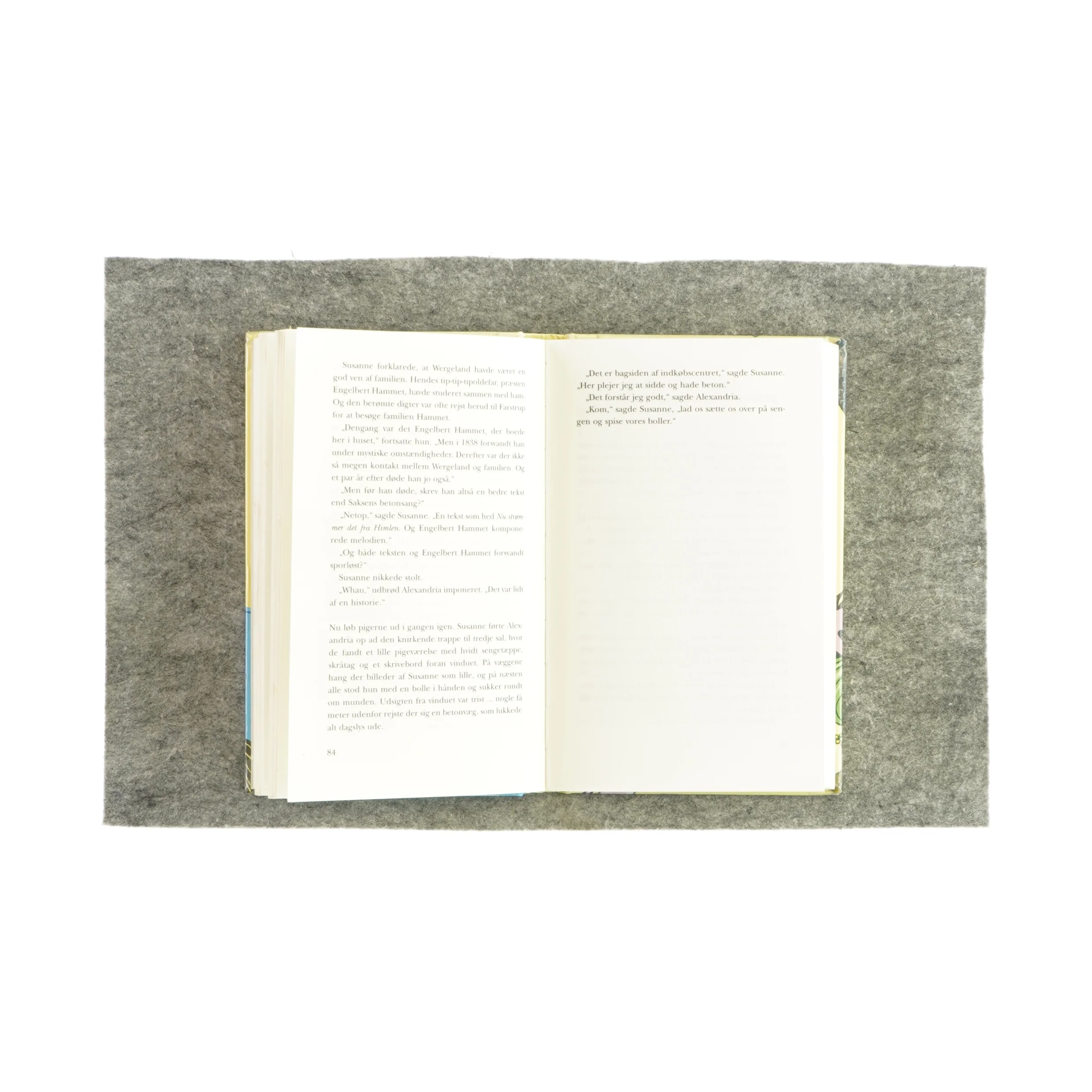 Alexandria og de tre gåder af Jan Chr. Næss (bog)