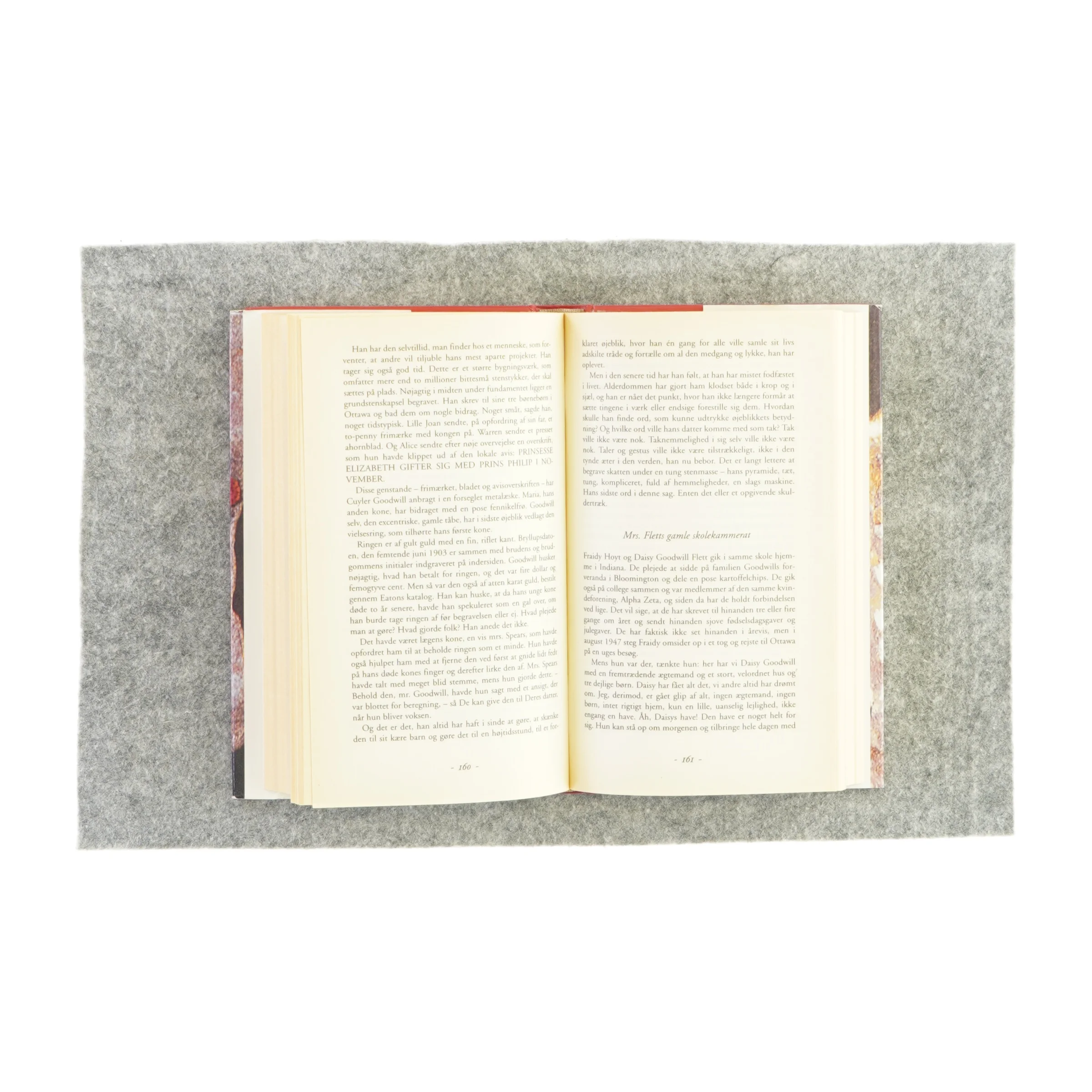 Skrevet i sten af Carol Shields (bog)