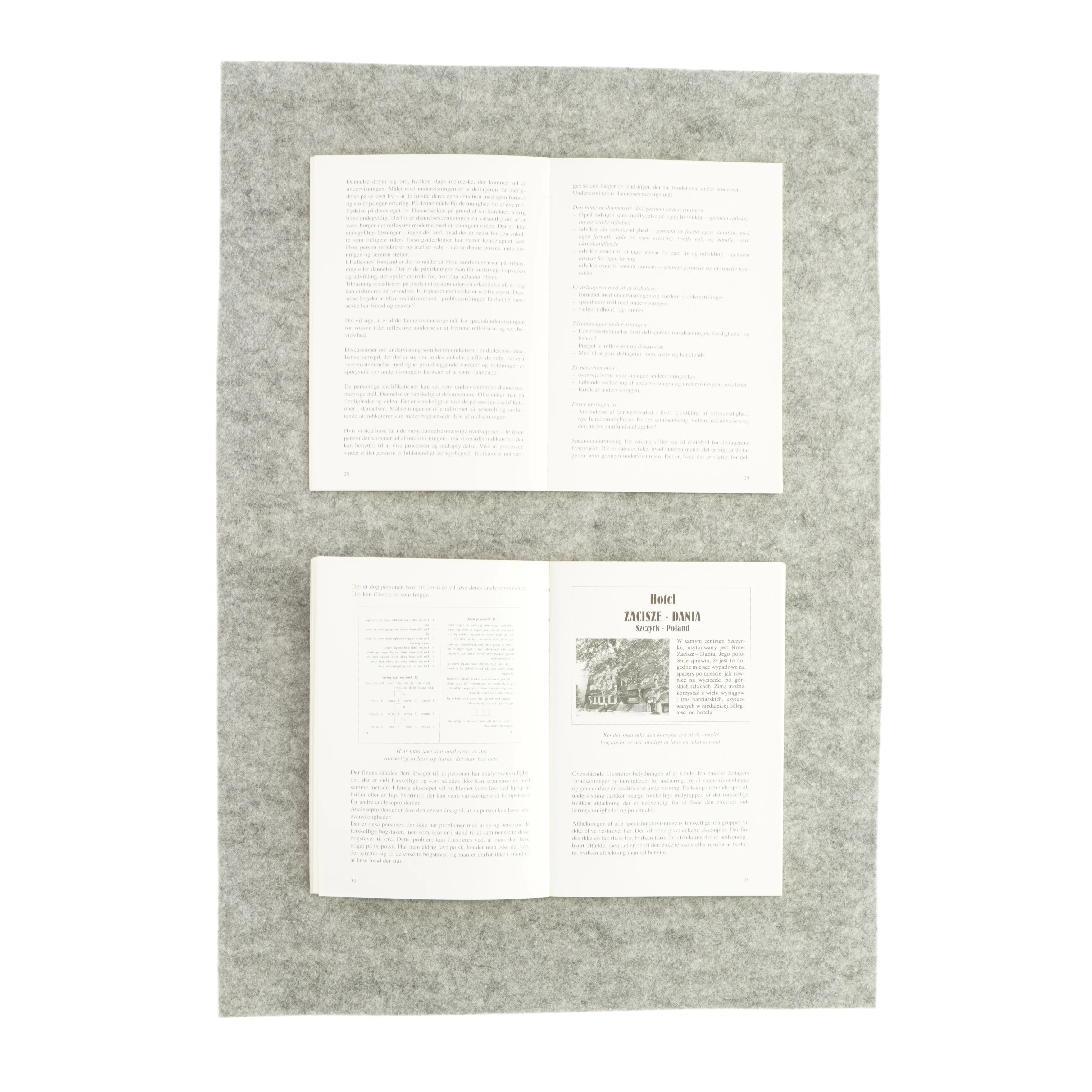 Individuelle undervisningsplaner, bind 1 og 2 (bog)