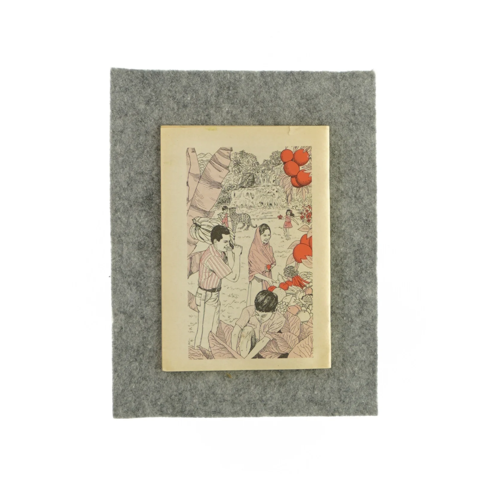 Fra Kurukshetra til Harmagedon - Du kan overleve af Watchtower bible and trace society og New York, Inc (Bog)