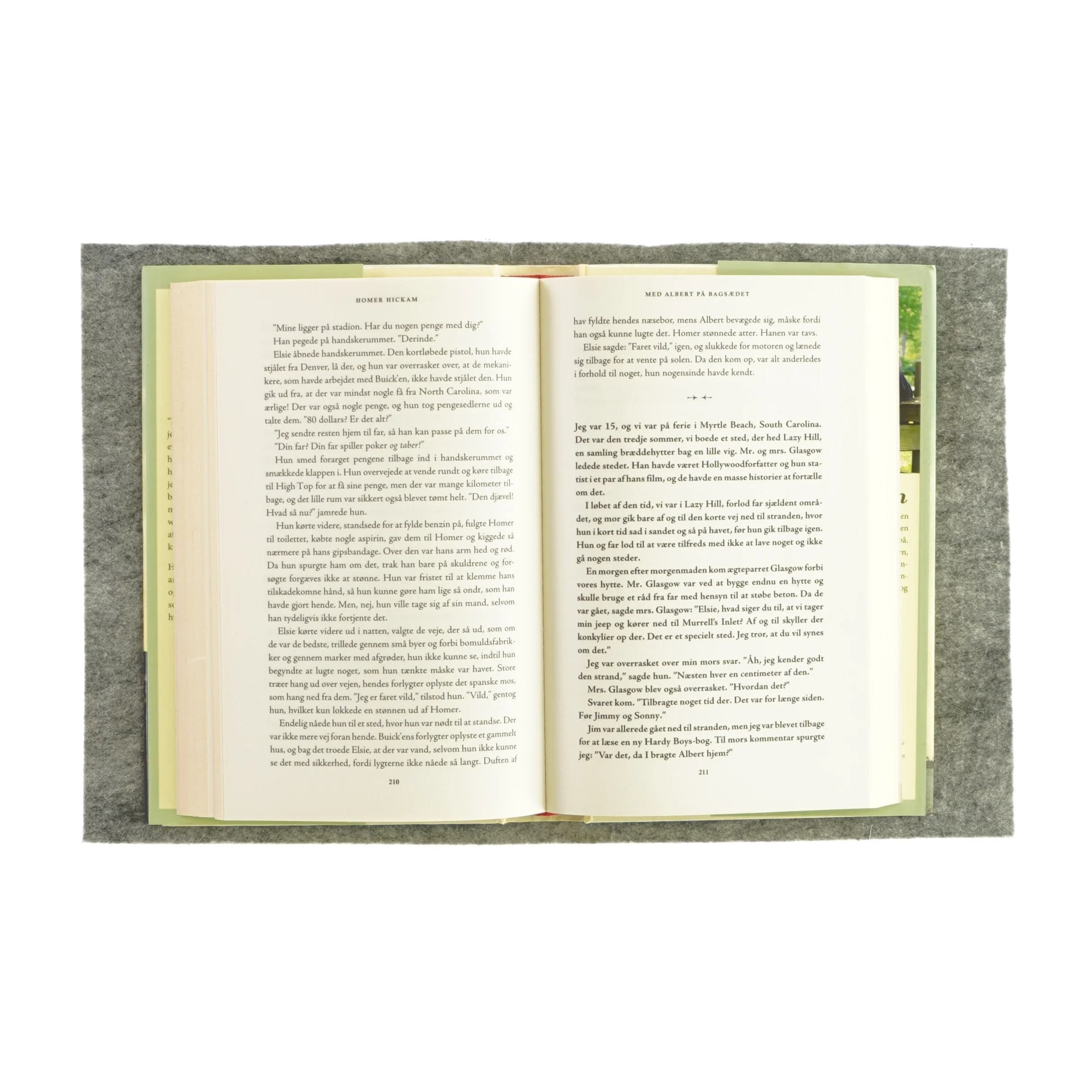 Med Albert på bagsædet af Homer Hickam (bog)