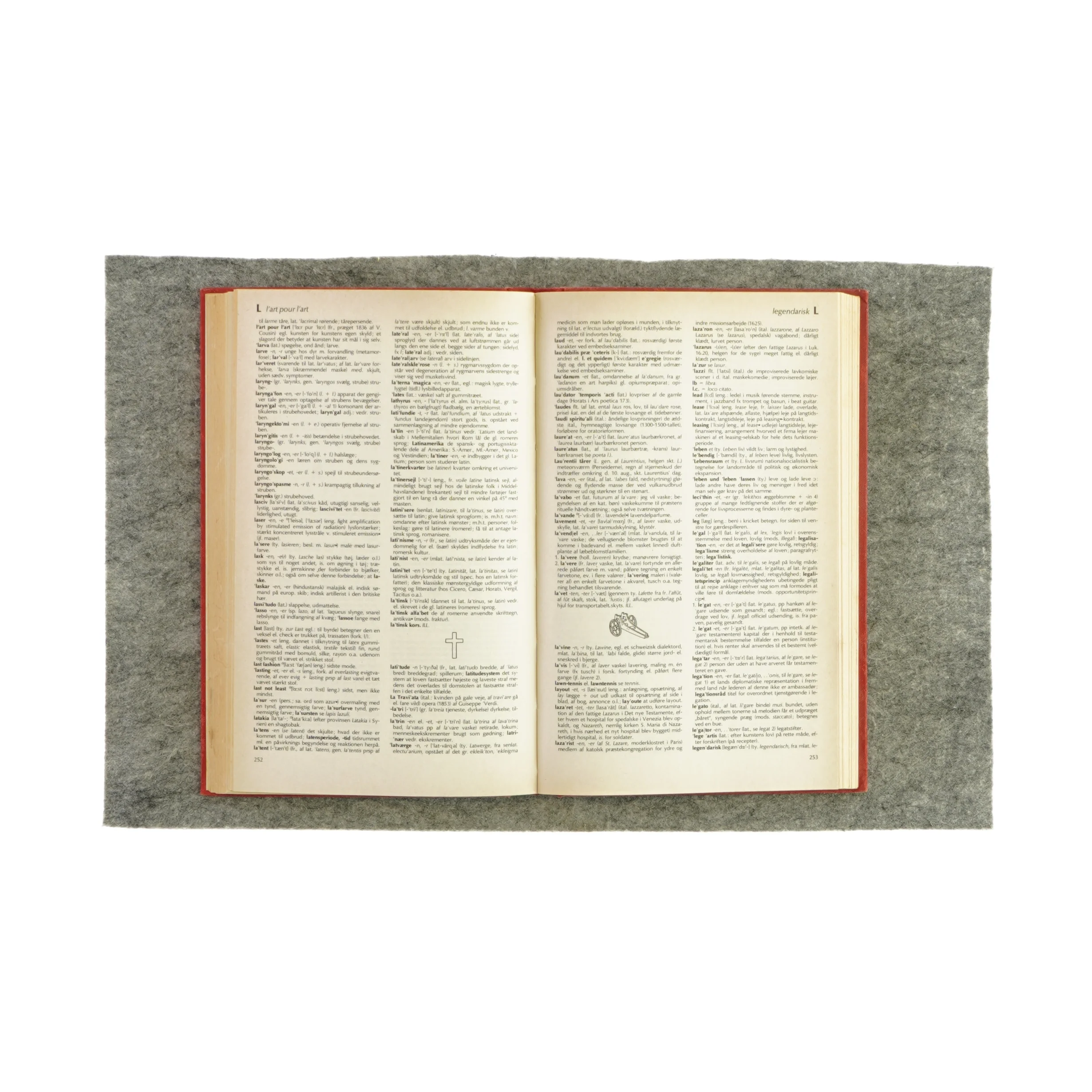 Fremmedord fra Gyldendals røde ordbøger (bog)