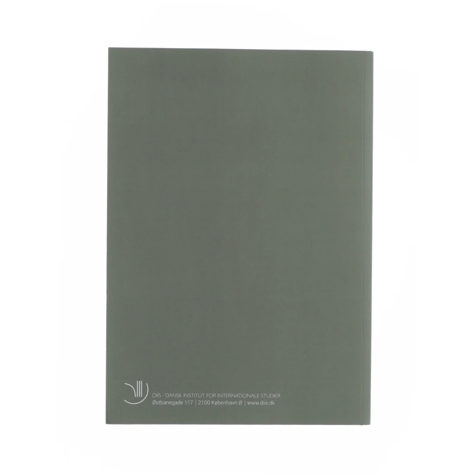 Islamisk stat i Irak og Syrien - Kalifatets orden skaber kaos i den nye krig mod terror (Bog)