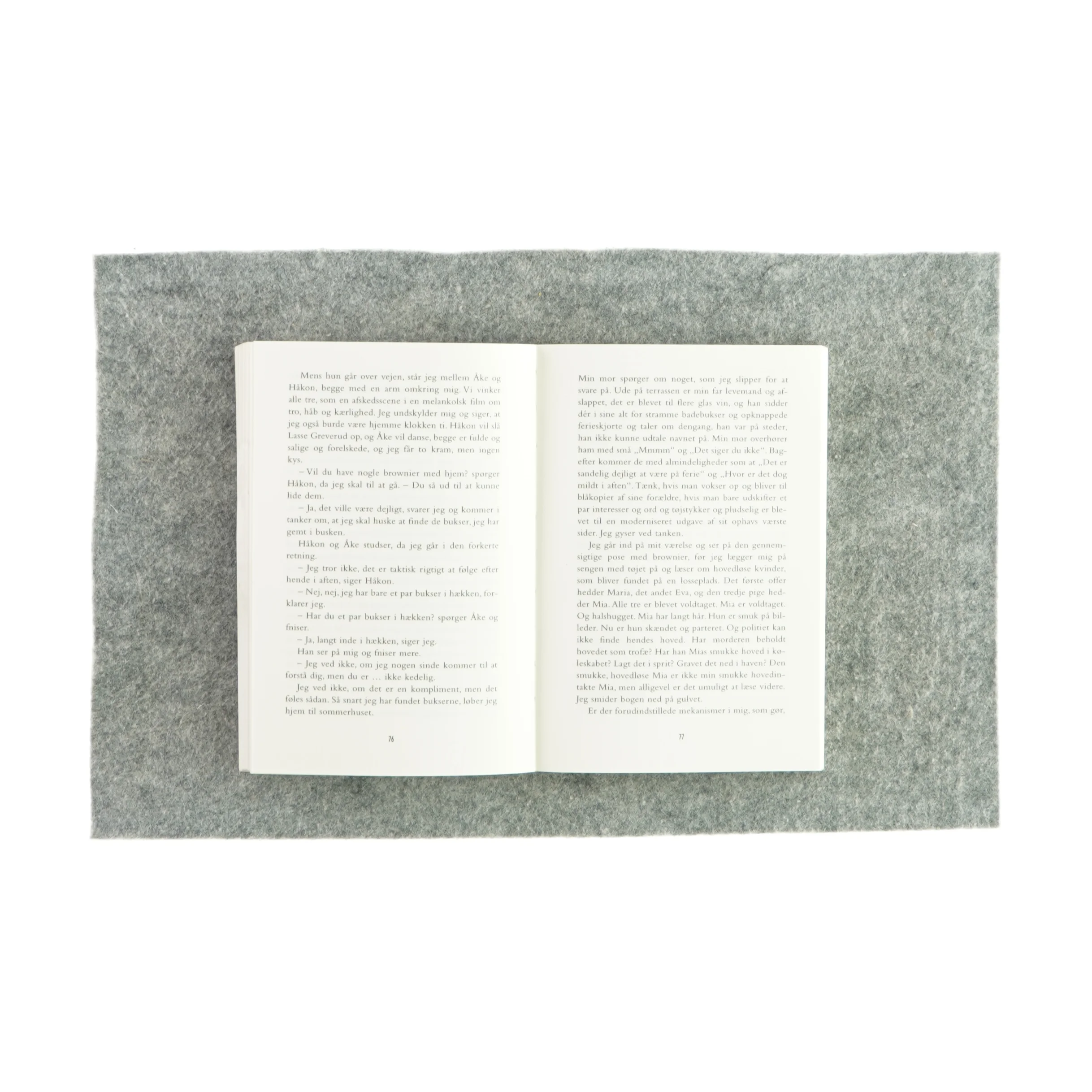 Den sommer vi klædte os nøgne (bog)