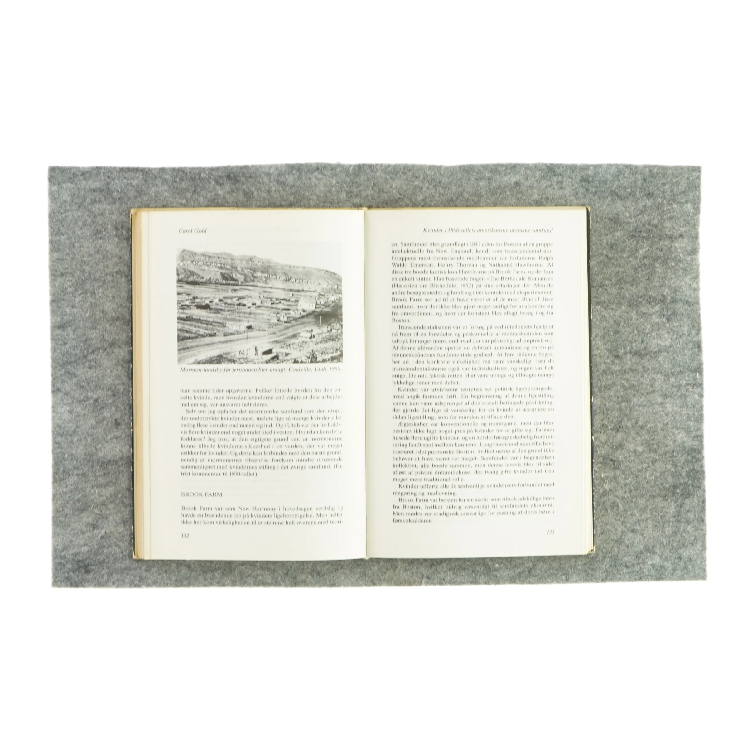 Kvindestudier 5, utopi og subkultur (bog)