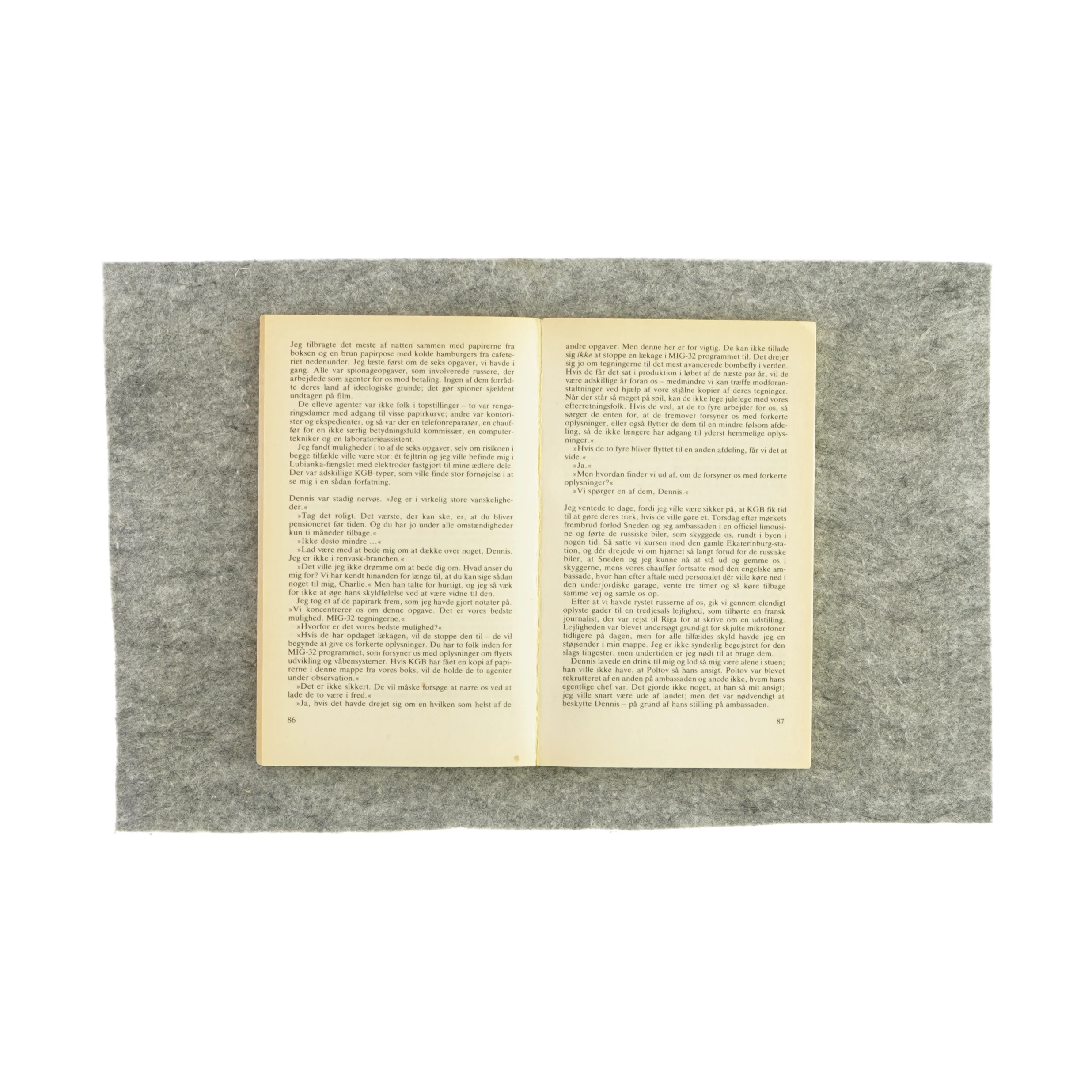 Checkpoint Charlie af Brian Garfield (bog)