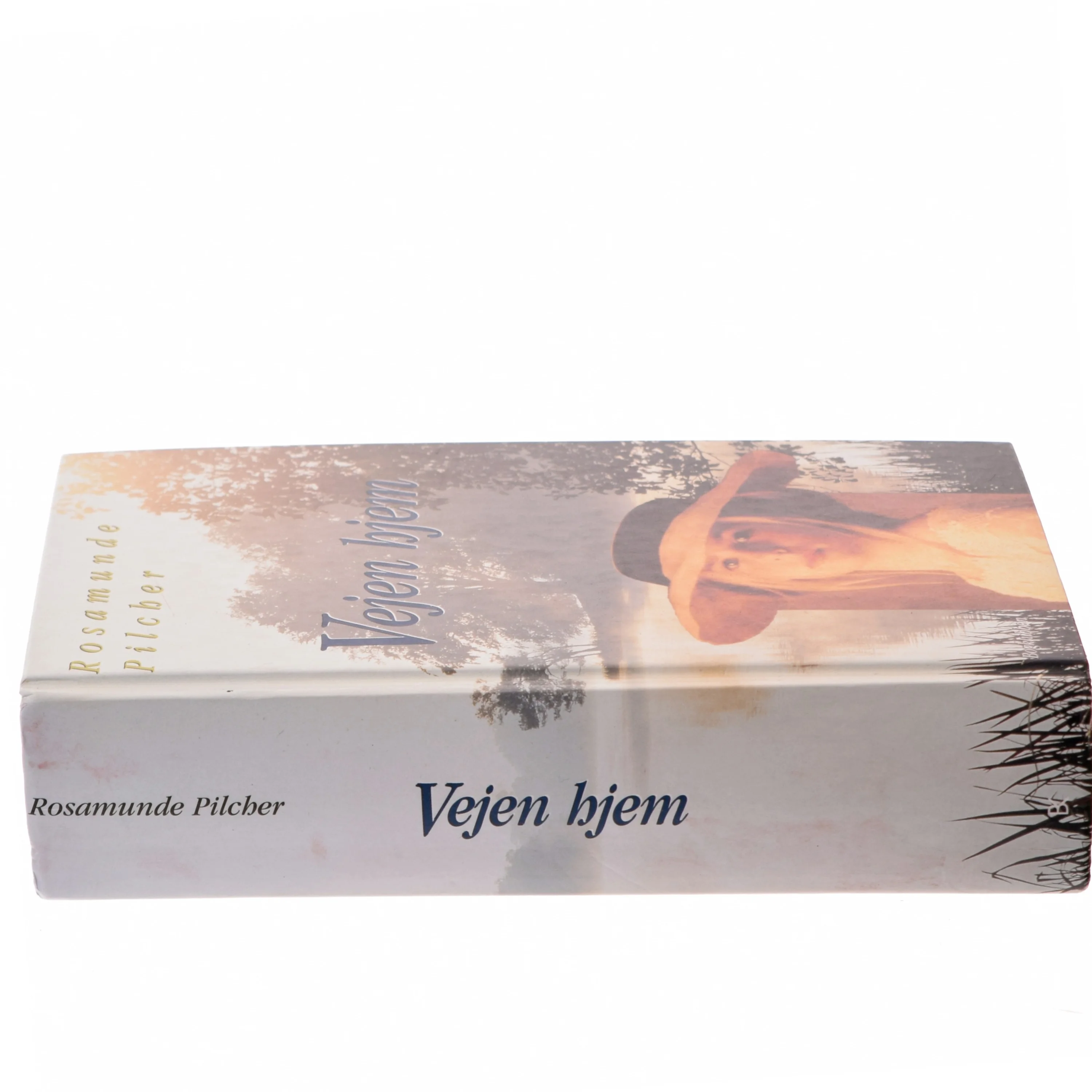 Vejen hjem af Rosamunde Pilcher (Bog)