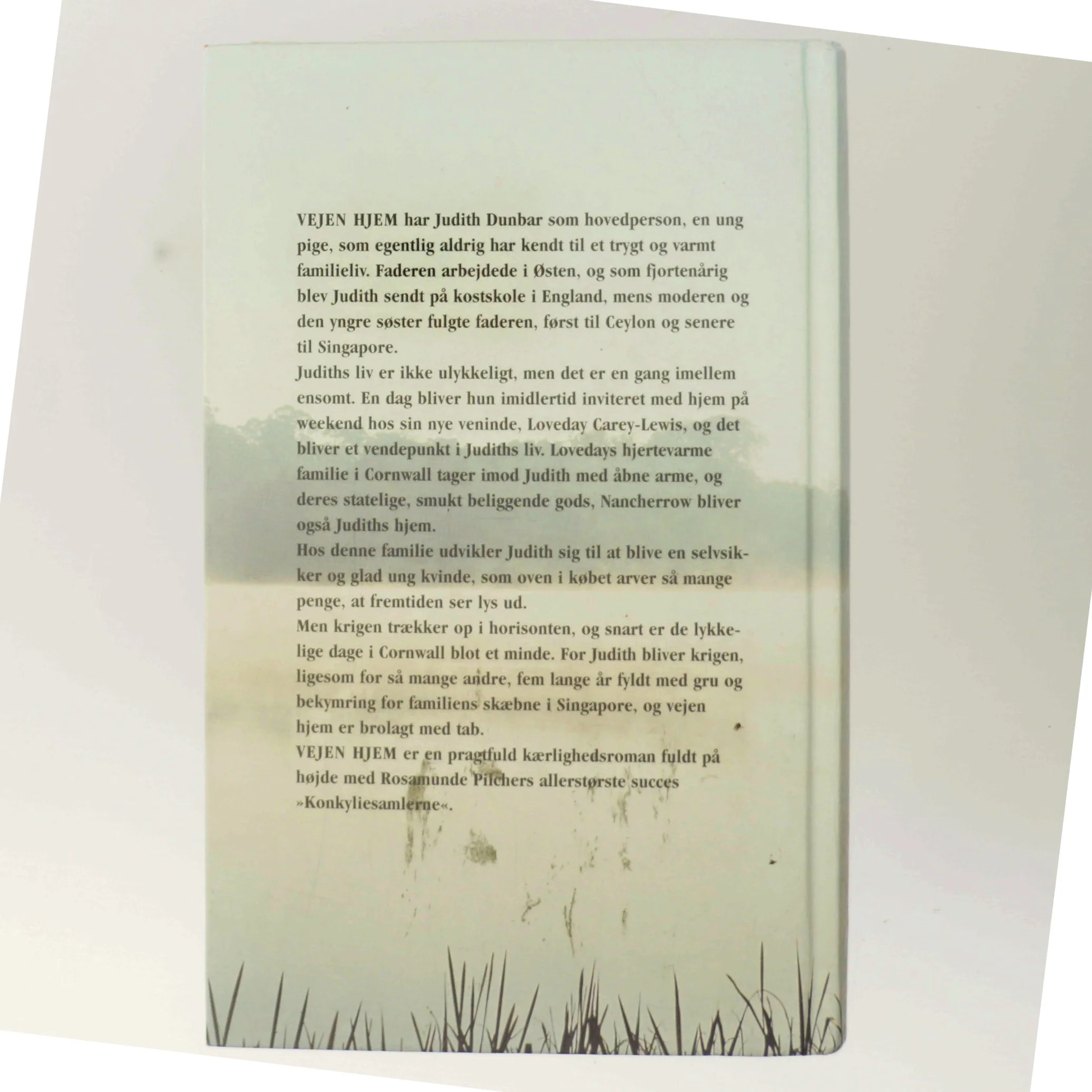 Vejen hjem af Rosamunde Pilcher (Bog)