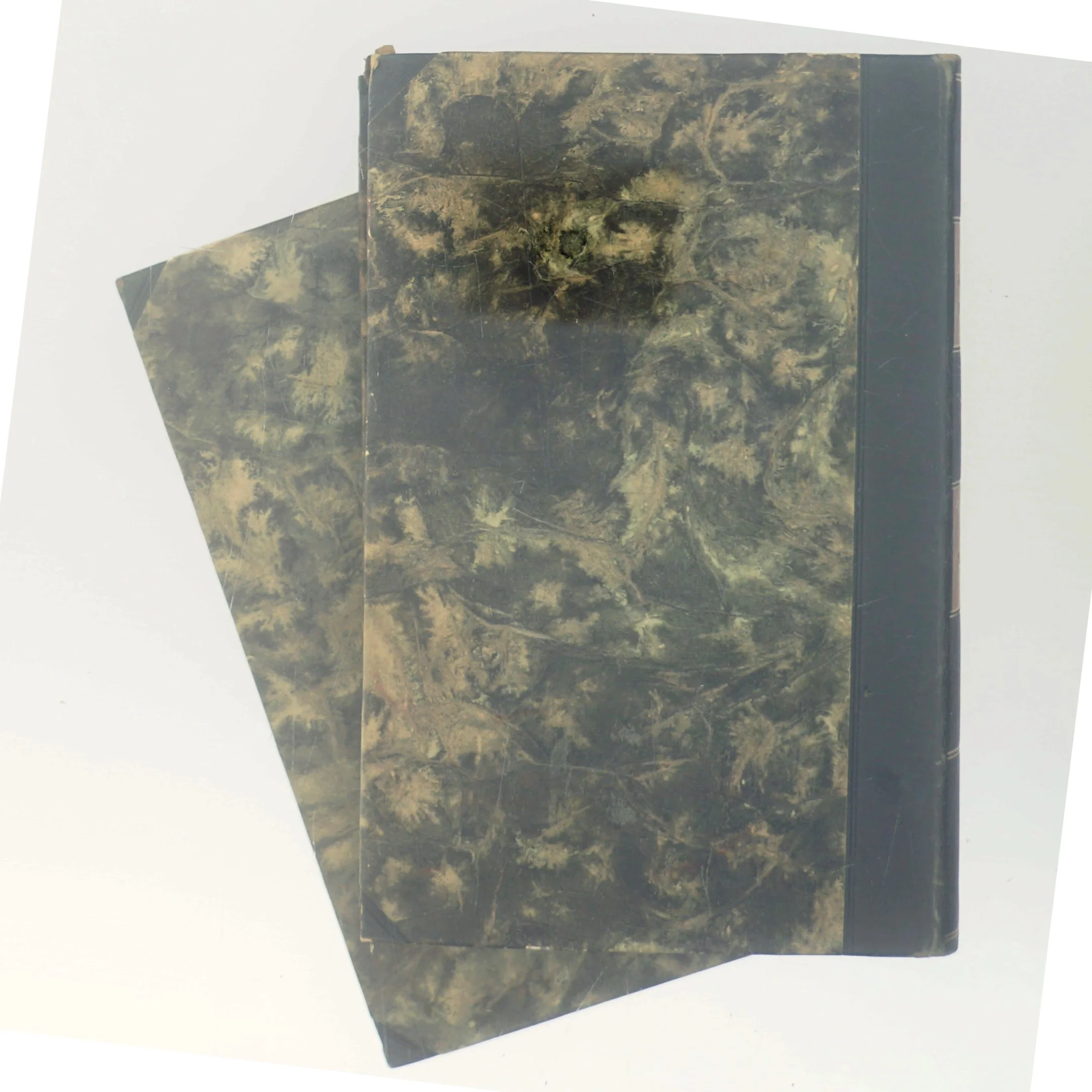 Digte og Noveller af Steen Steensen Blicher (Bog)