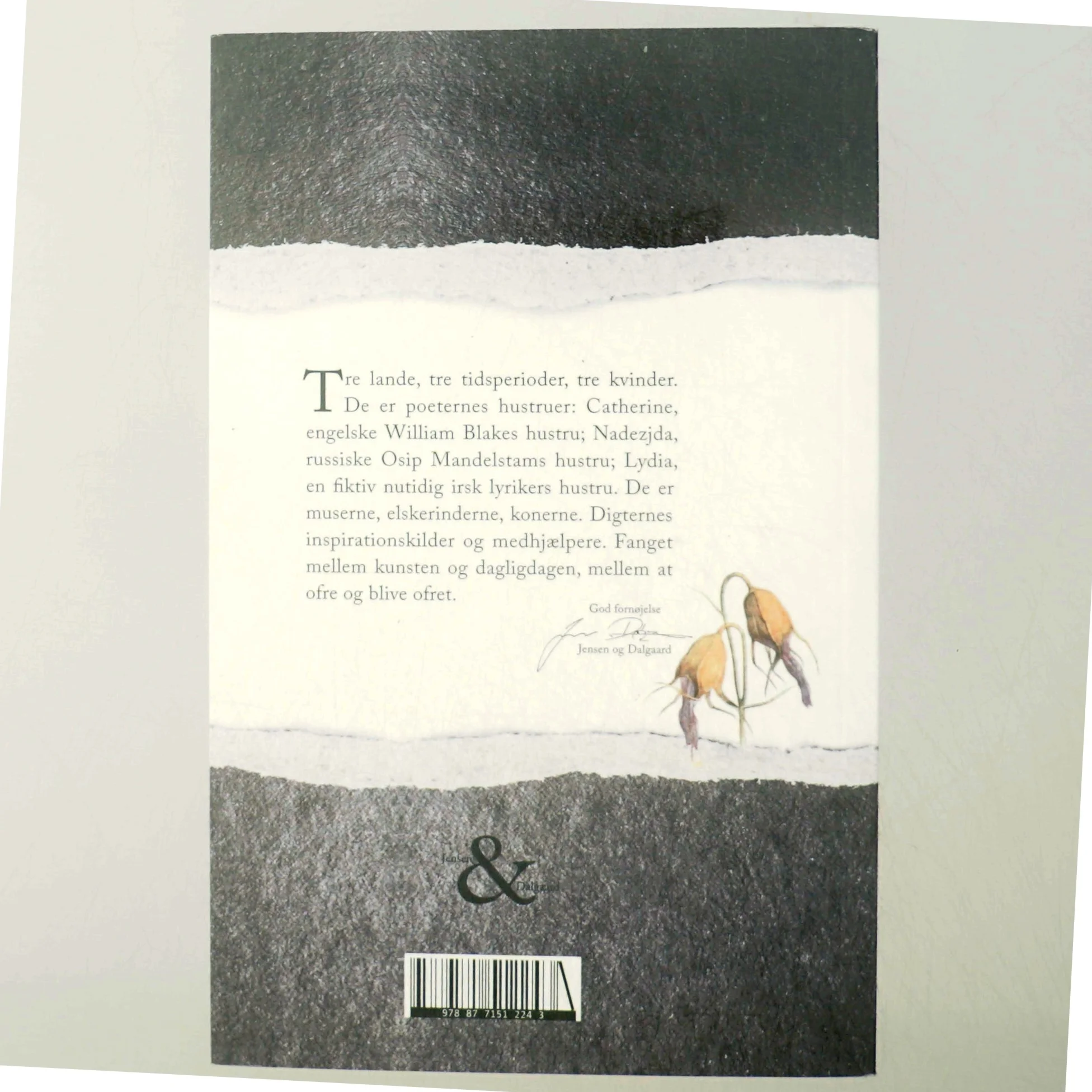 Poeternes hustruer af David Park (Bog)