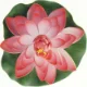 Lotusblomst (str. 15 cm)