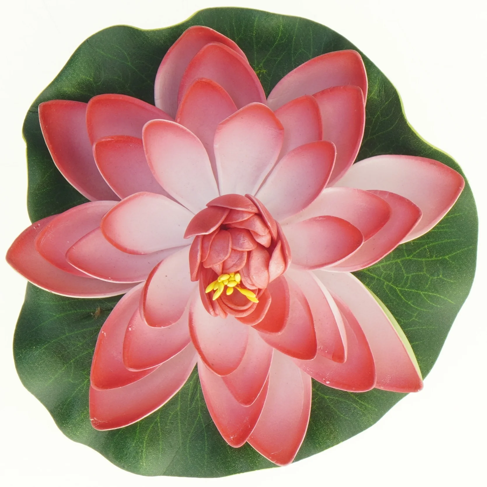 Lotusblomst (str. 15 cm)