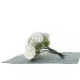 kunstige hvide naturtro roser (str. 20 cm)