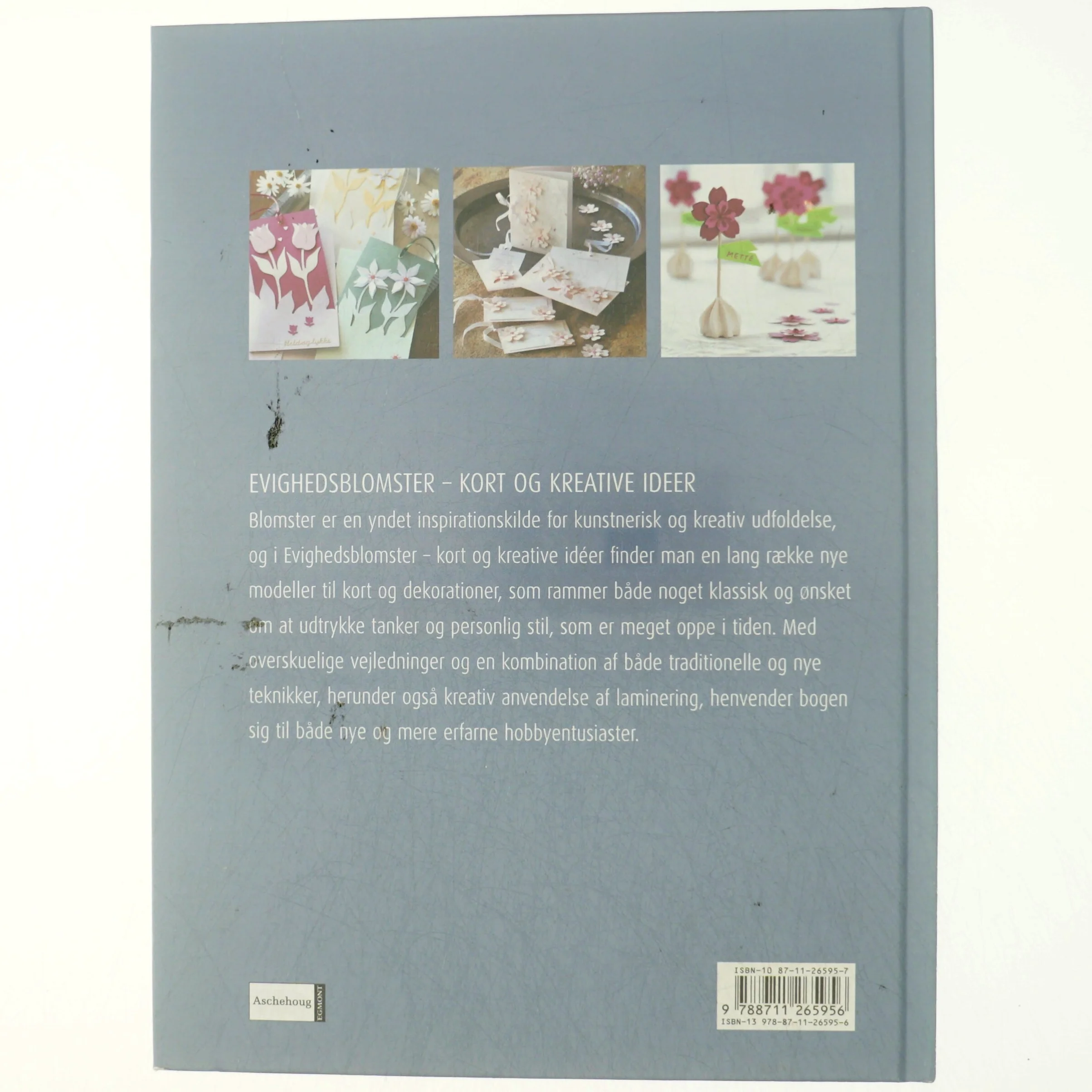 Evighedsblomster : kort og kreative ideer af Gitte Schou Hansen (Bog)