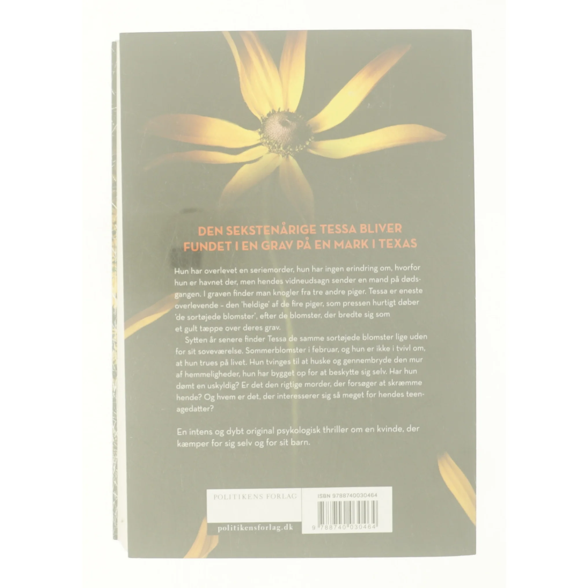 Kvinden i graven af Julia Heaberlin 