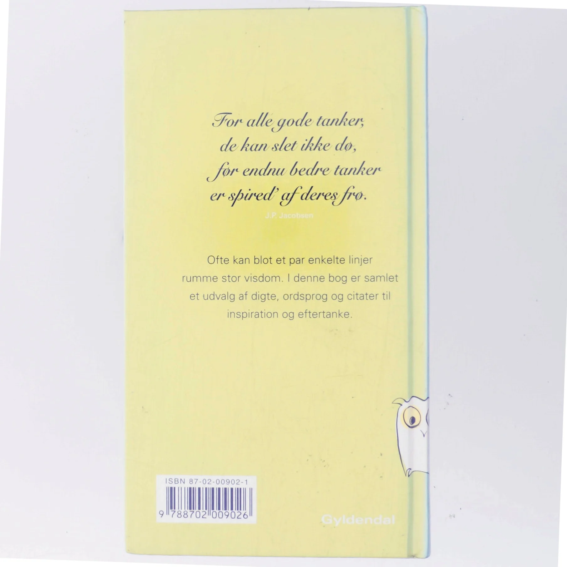 Lidt visdom : digte, ordsprog og citater af Annemette W. Larsen (Bog)