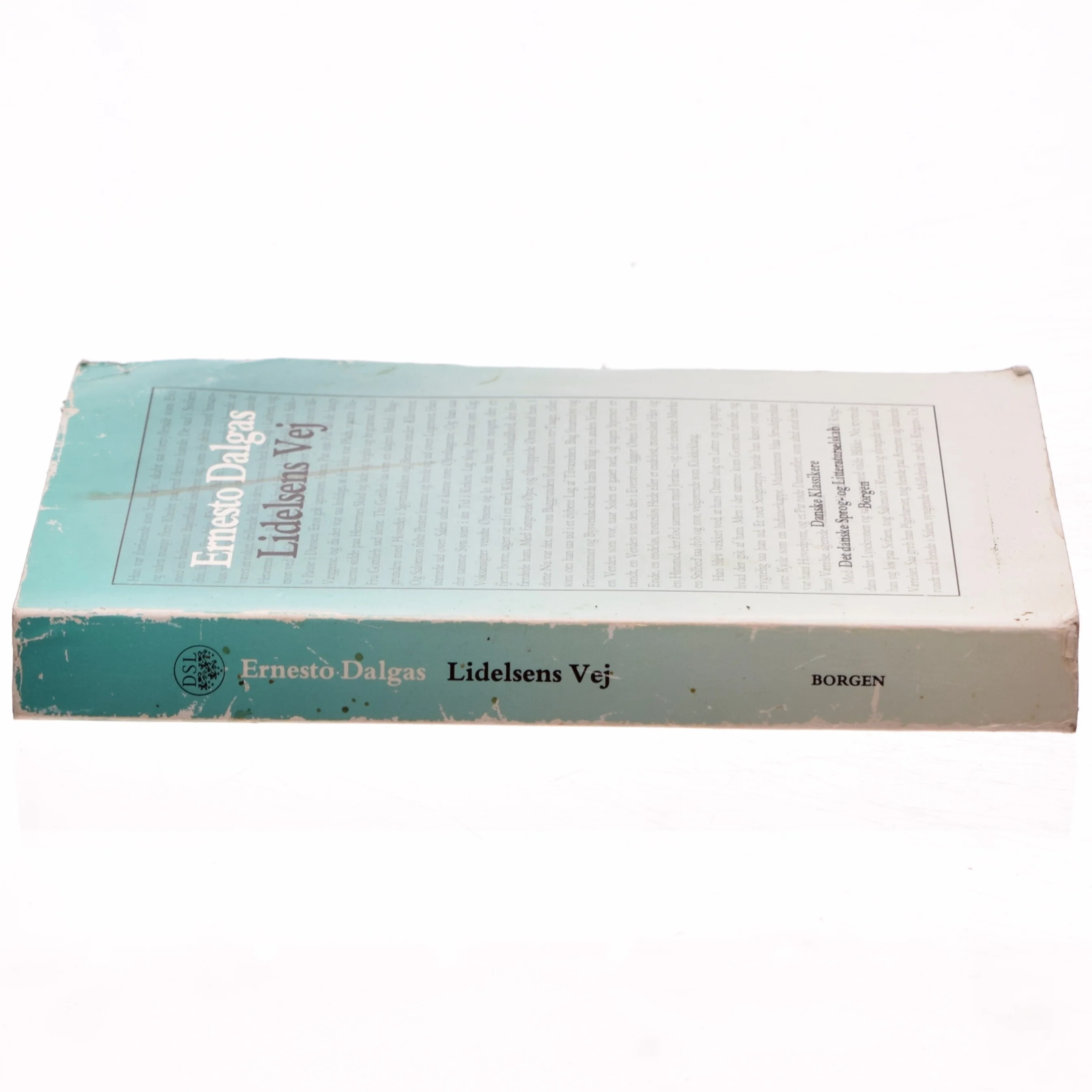 Lidelsens vej af Ernesto Dalgas