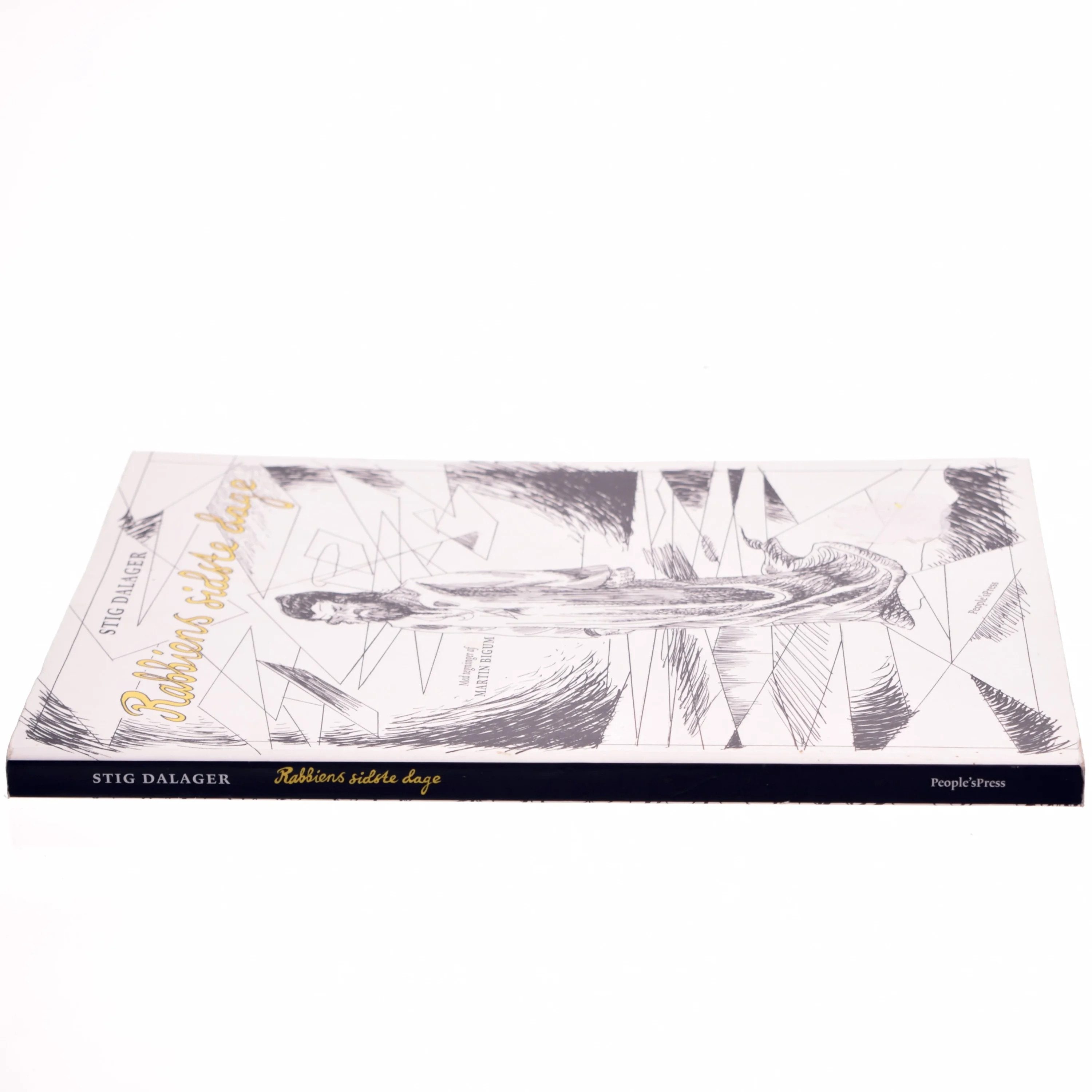 Rabbiens sidste dage : en fortælling af Stig Dalager (Bog)