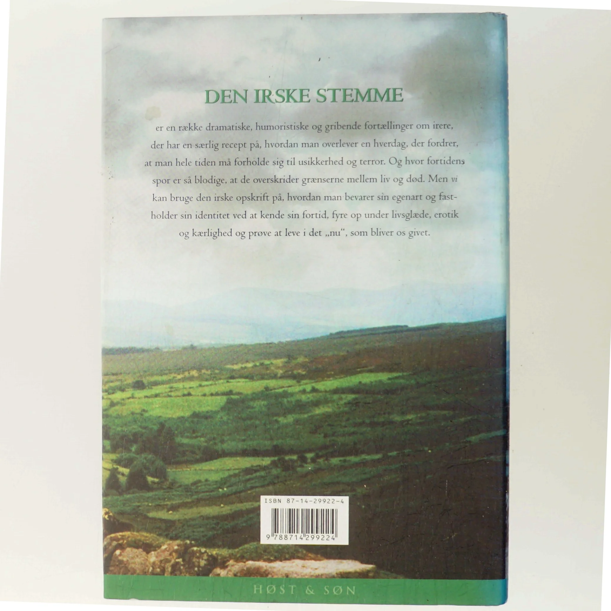 Den irske stemme : fortællinger af Jane Aamund (Bog)